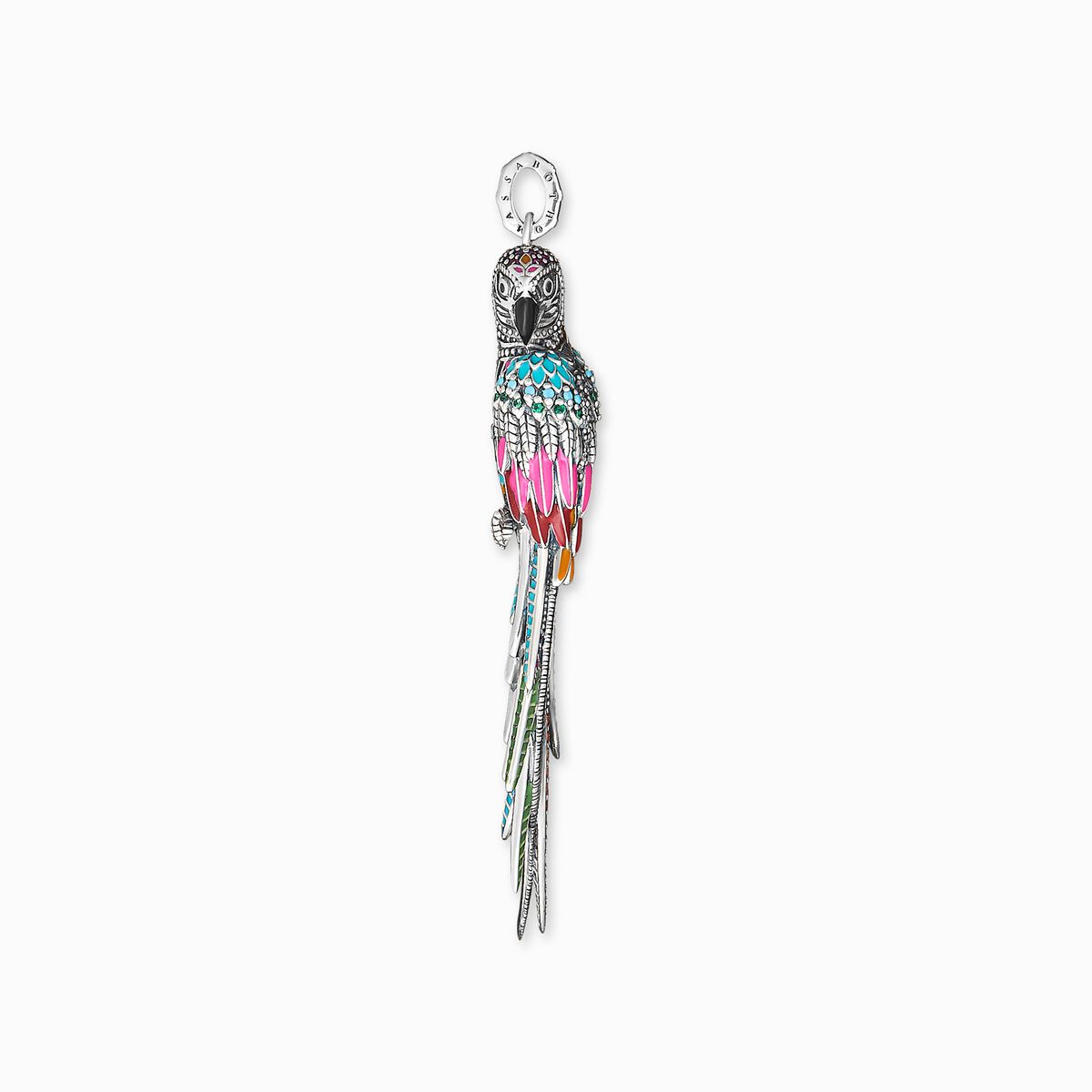 Pendant parrot