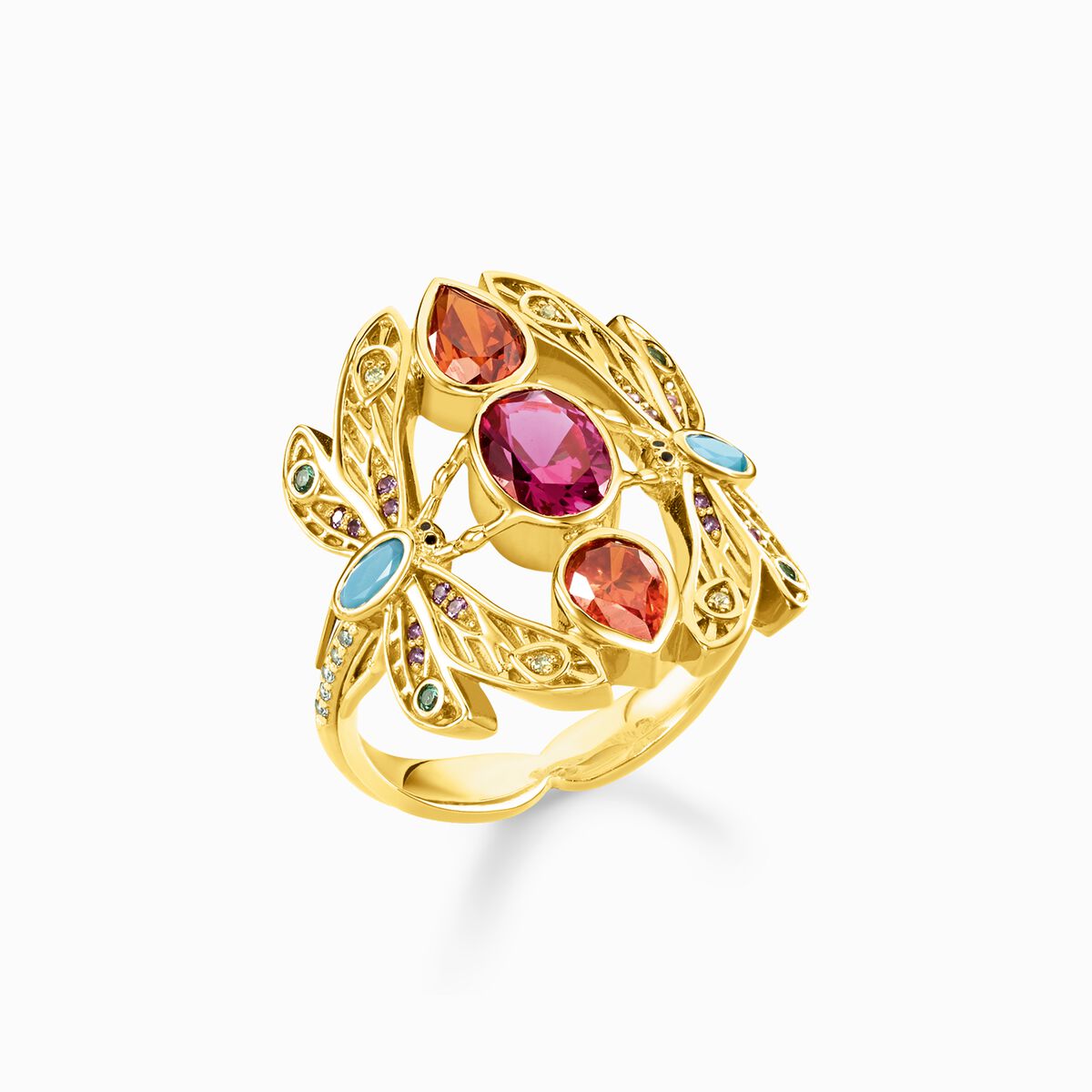 Ring dragonfly