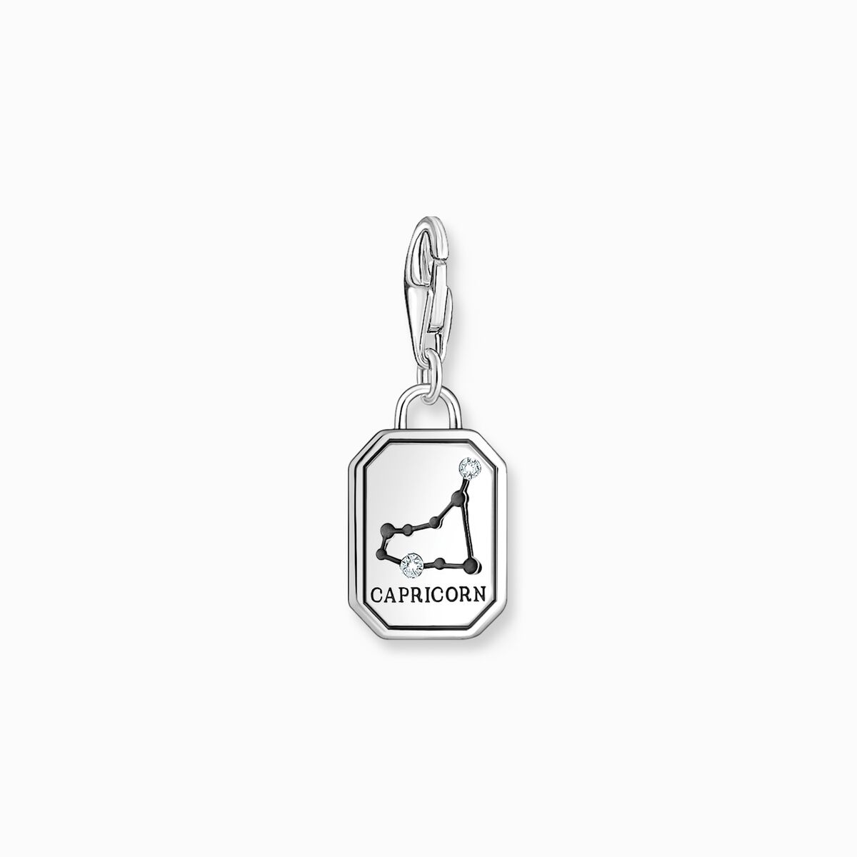 Silver charm pendant zodiac sign Capricorn with zirconia