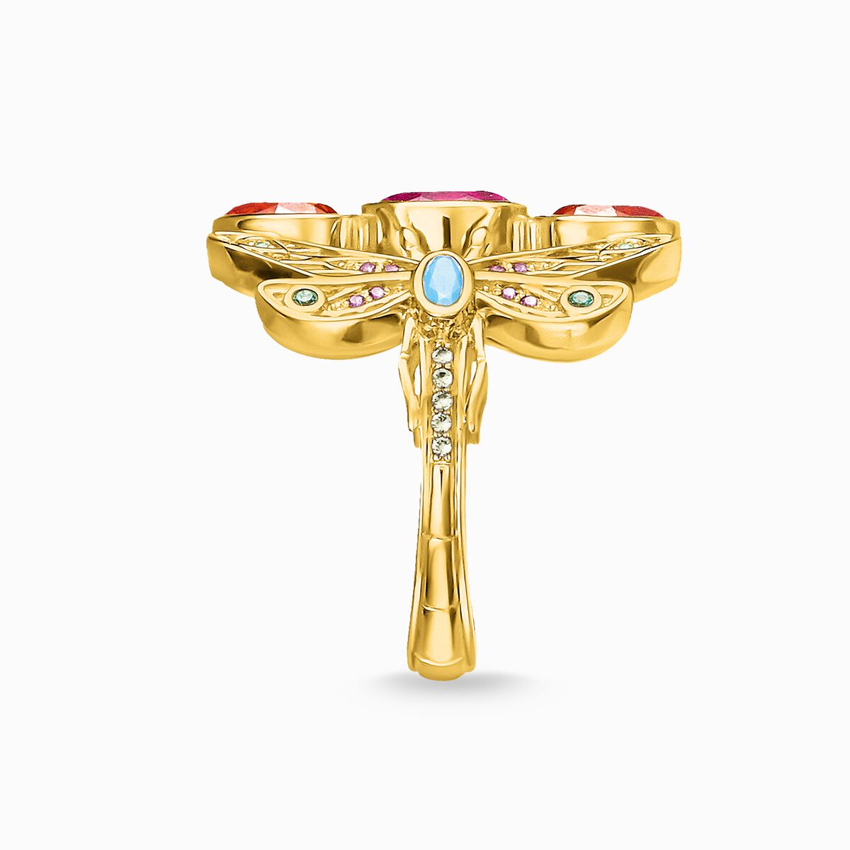 Ring dragonfly