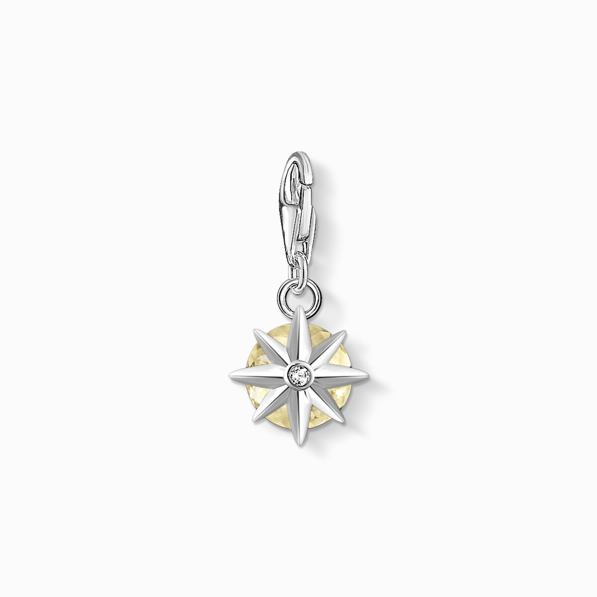 Charm pendant birth stone November