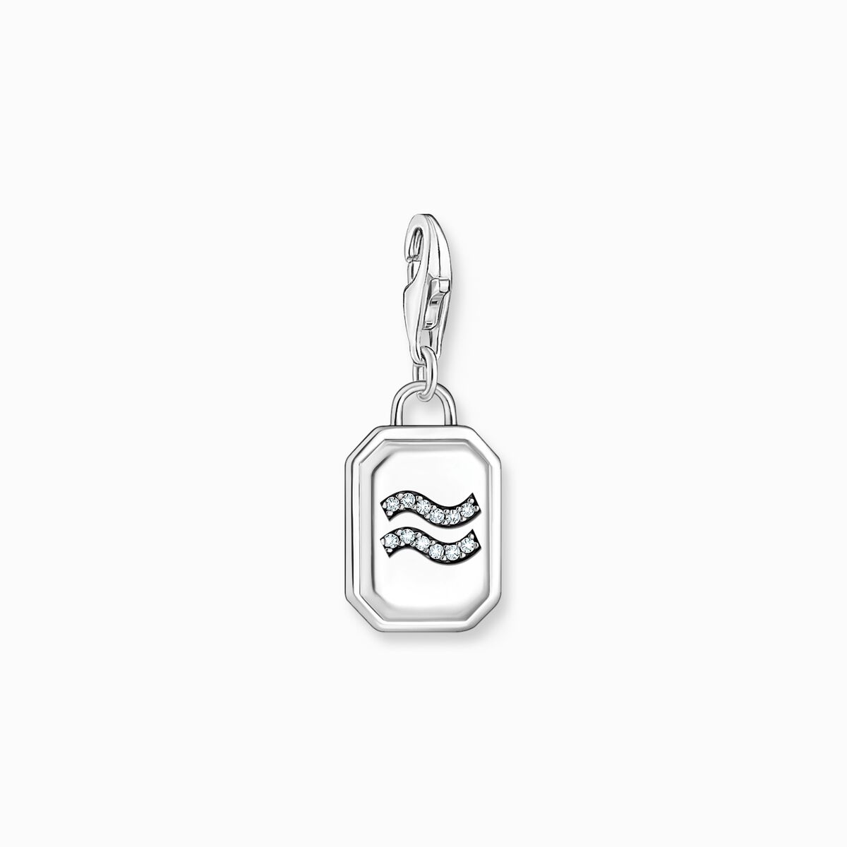 Silver charm pendant zodiac sign Aquarius with zirconia