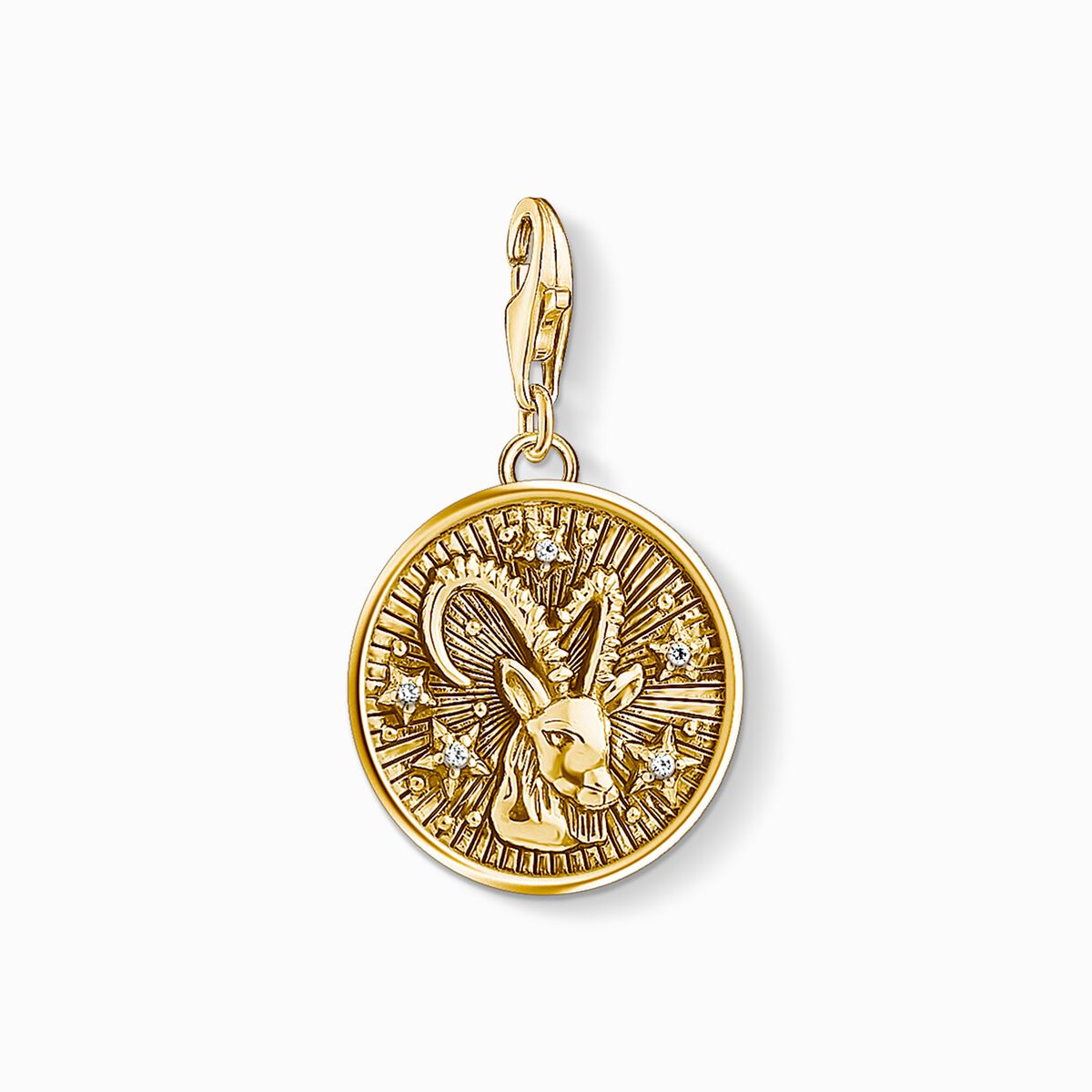 Charm pendant zodiac sign Capricorn
