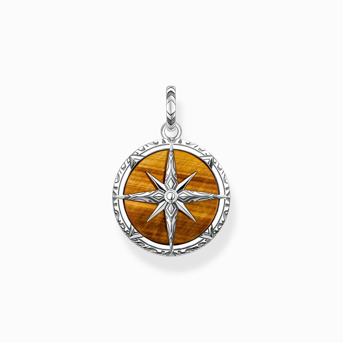 Pendant compass tiger‘s eye