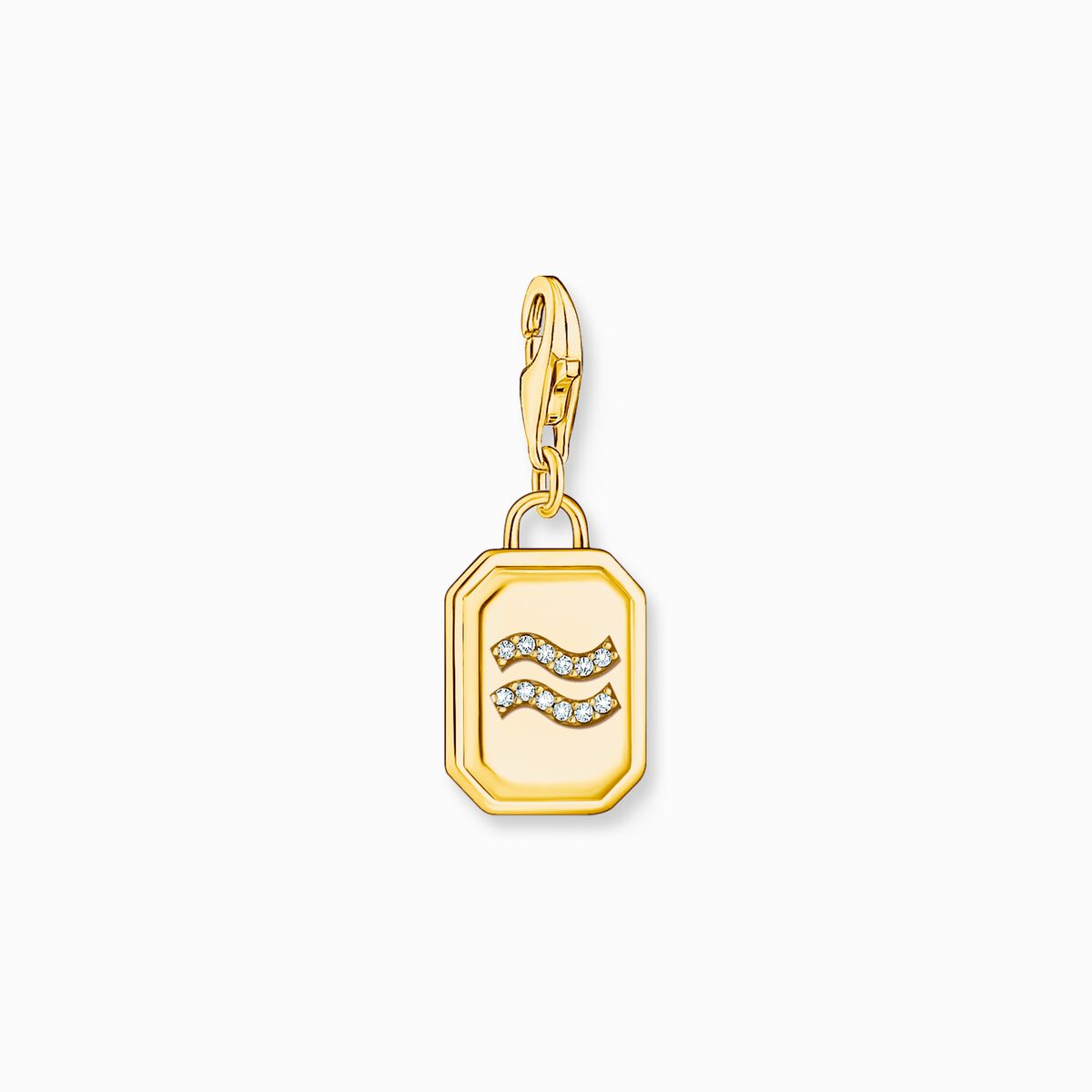 Gold-plated charm pendant zodiac sign Aquarius with zirconia