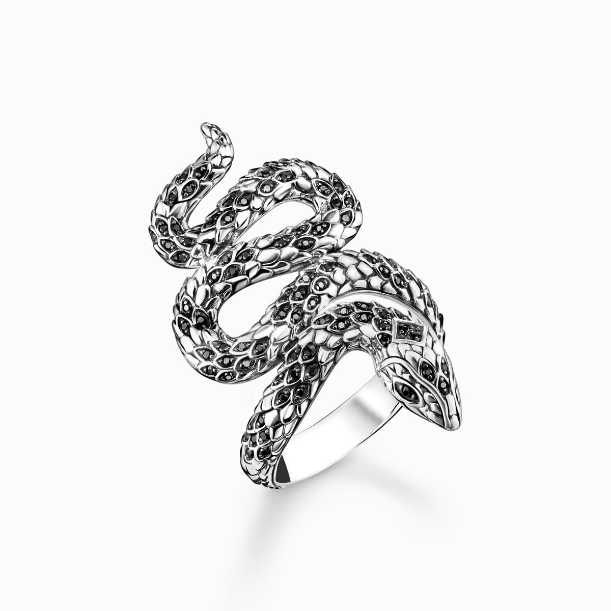 Ring blackened snake