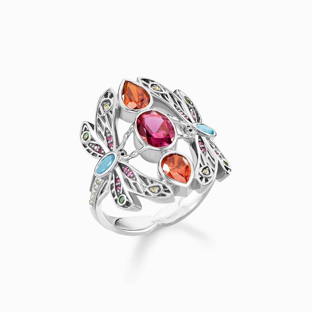 Ring dragonfly