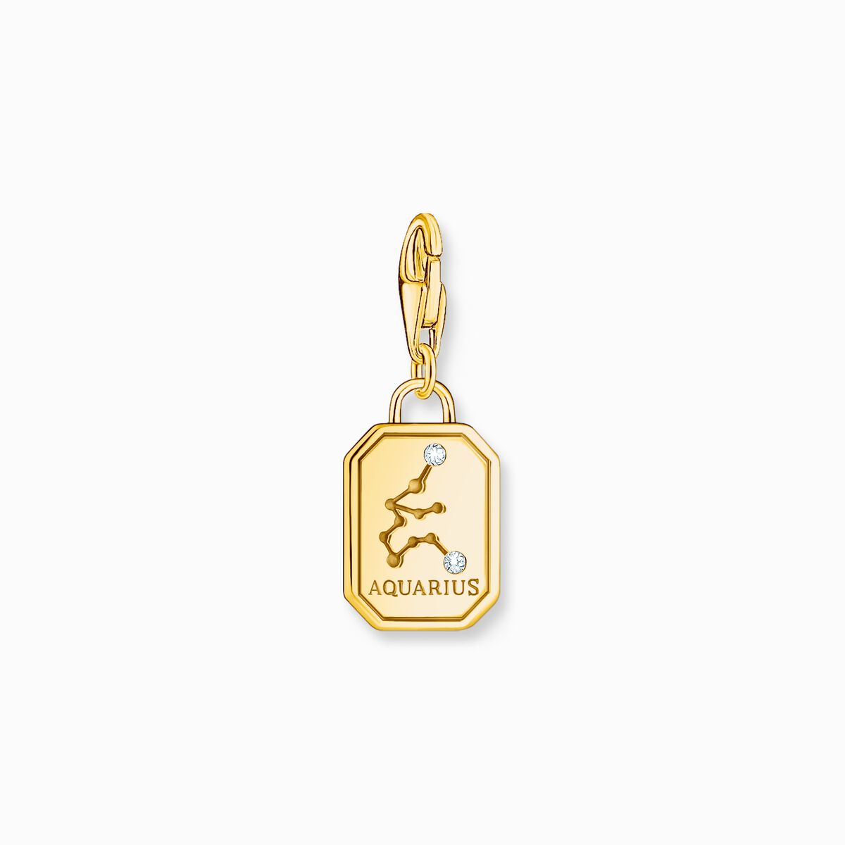 Gold-plated charm pendant zodiac sign Aquarius with zirconia
