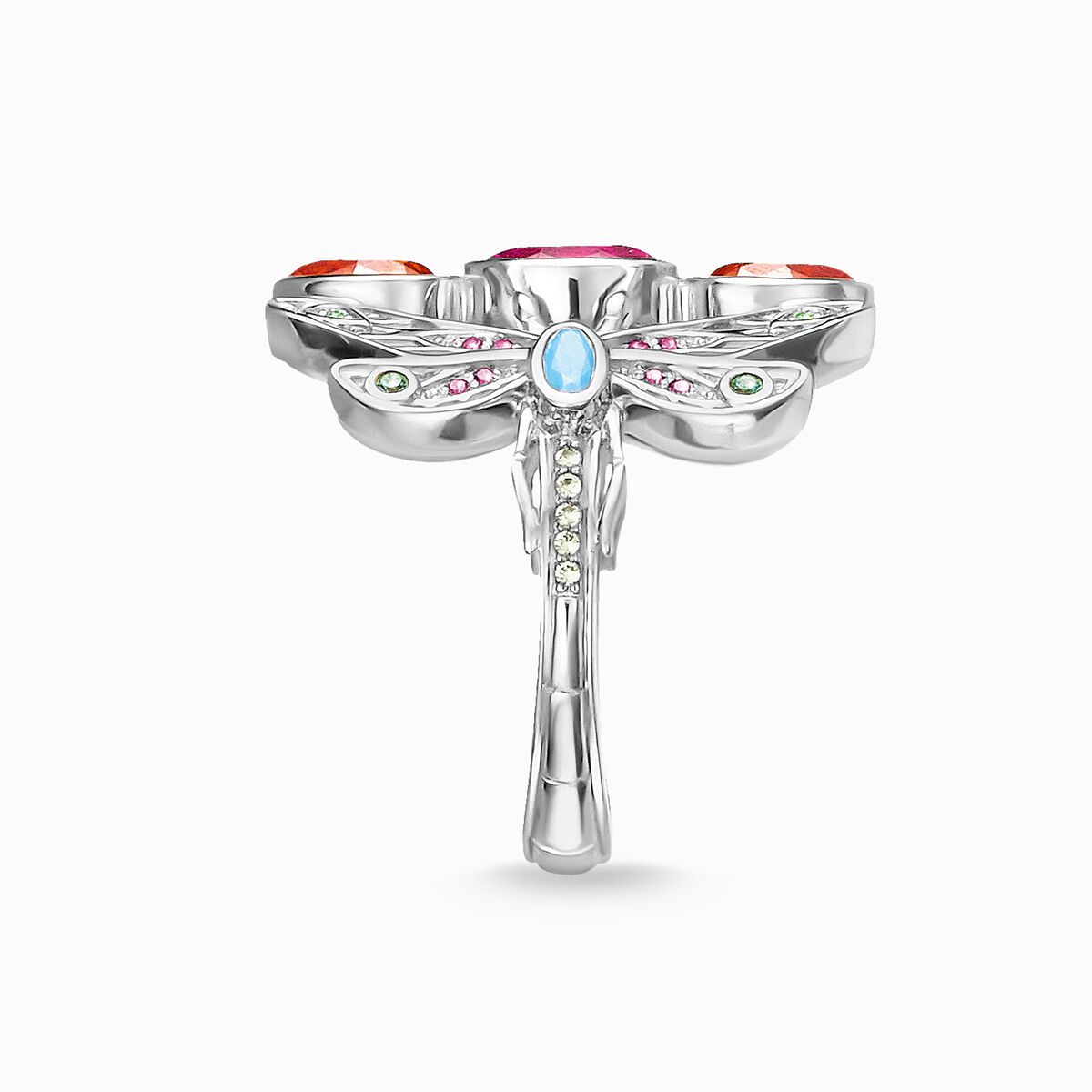 Ring dragonfly