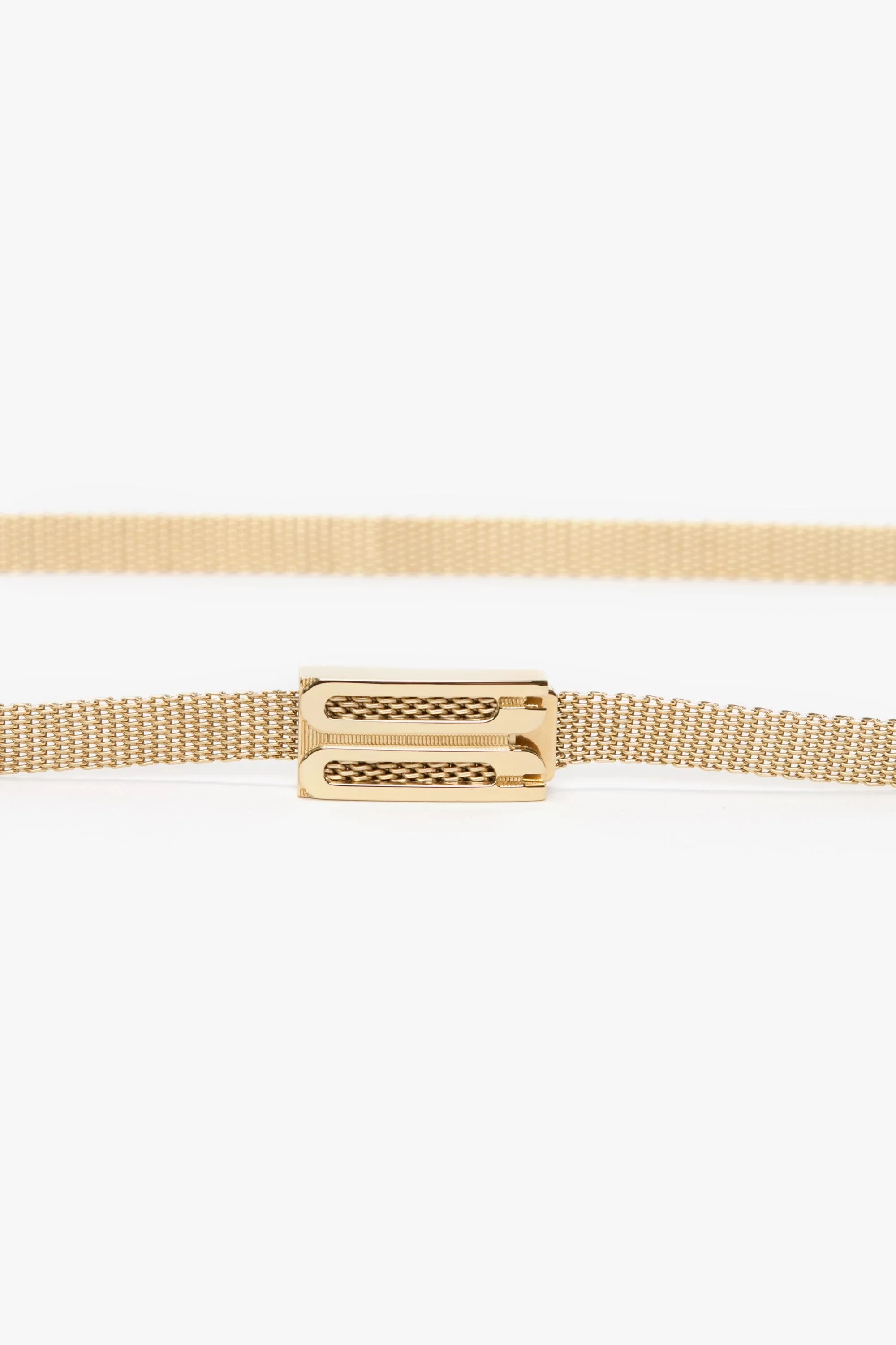 Brass Micro Dorian Belt In Light Gold - XNAUWBI