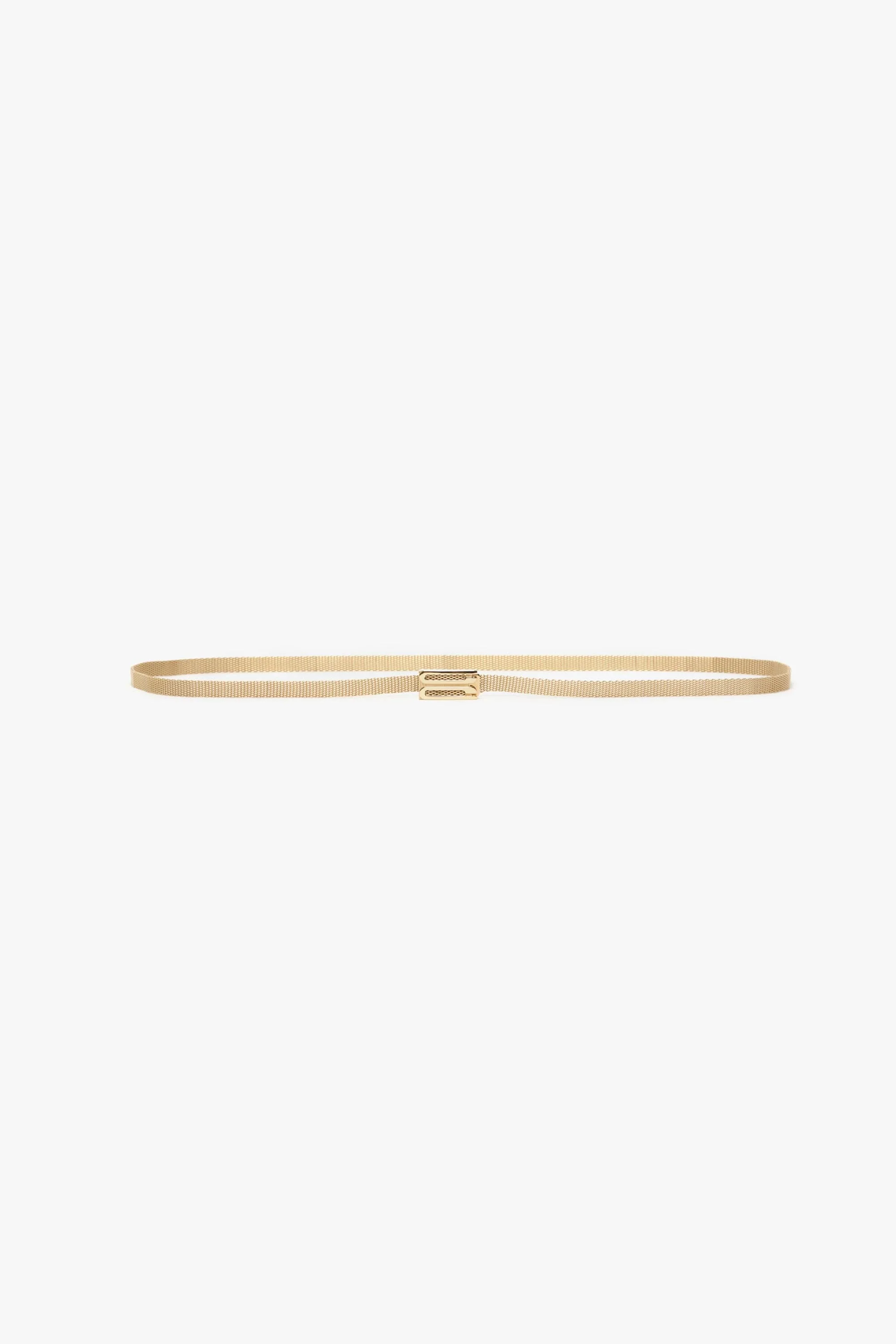 Brass Micro Dorian Belt In Light Gold - XNAUWBI
