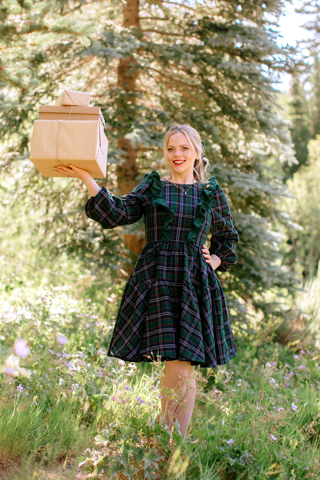Beth Dress in Homeland Plaid - XNAUWBI