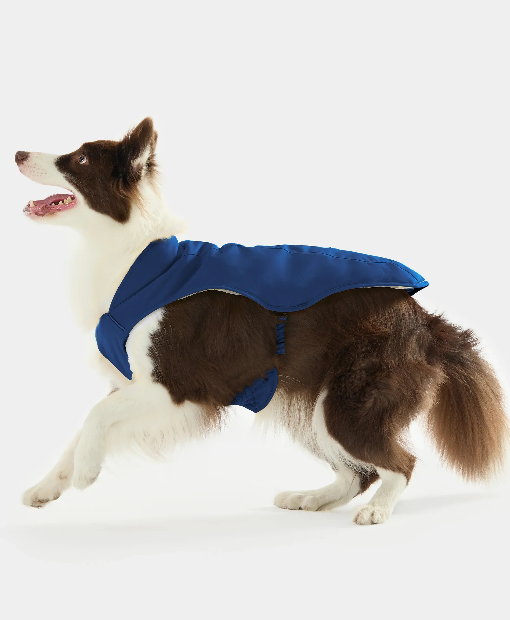 Koldpwoof Heated Dog Vest - XNAUWBI