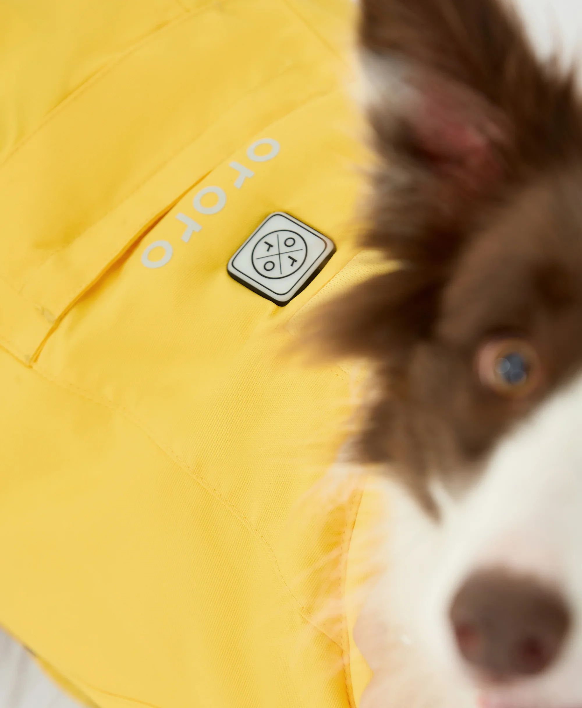 Koldpwoof Heated Dog Vest - XNAUWBI