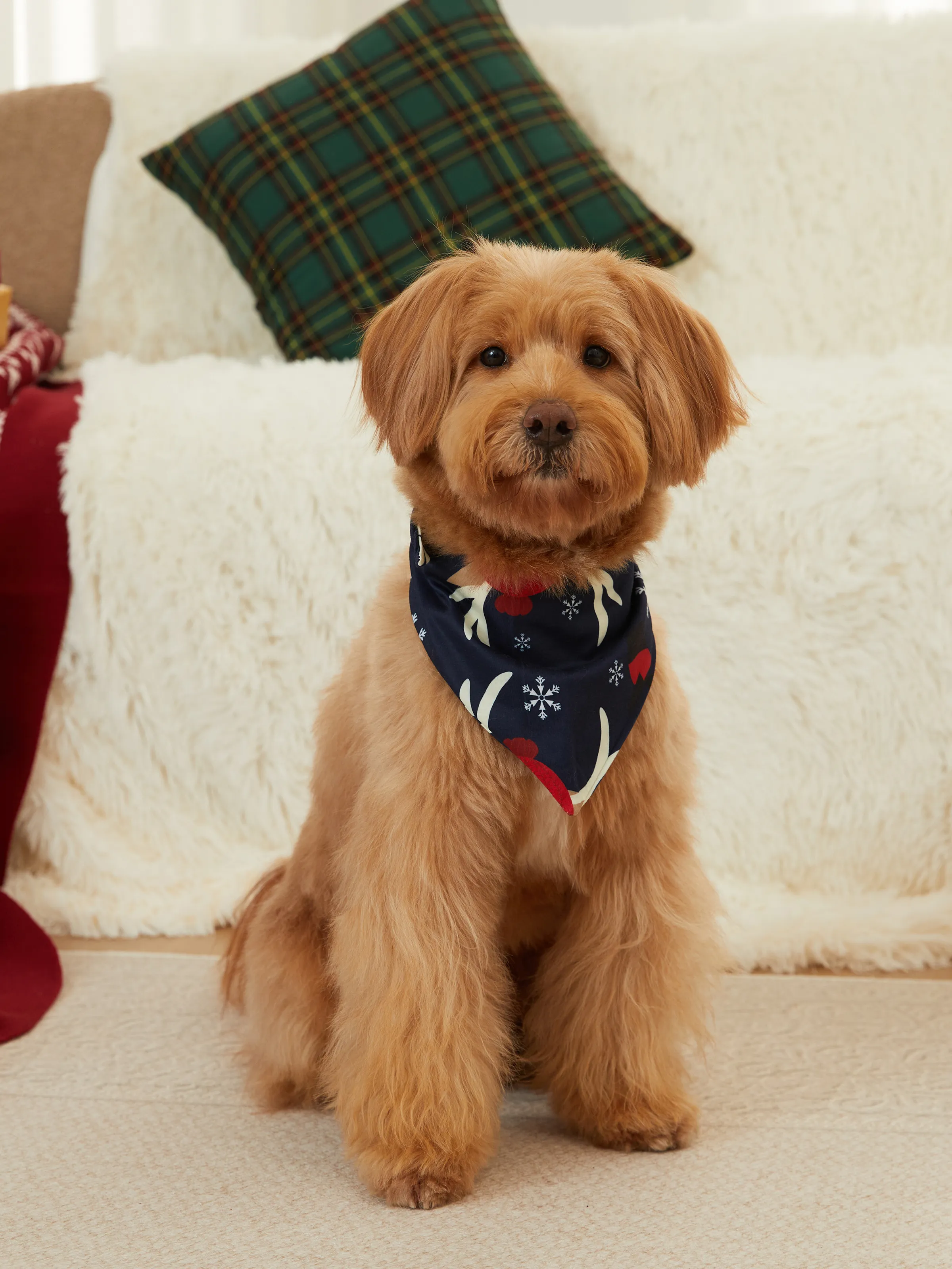 Christmas Family Pajamas Reindeer Pattern Big Graphic Raglan Sleeves Pajamas Sets with Christmas Socks Dark blue/White/Red - XNAUWBI