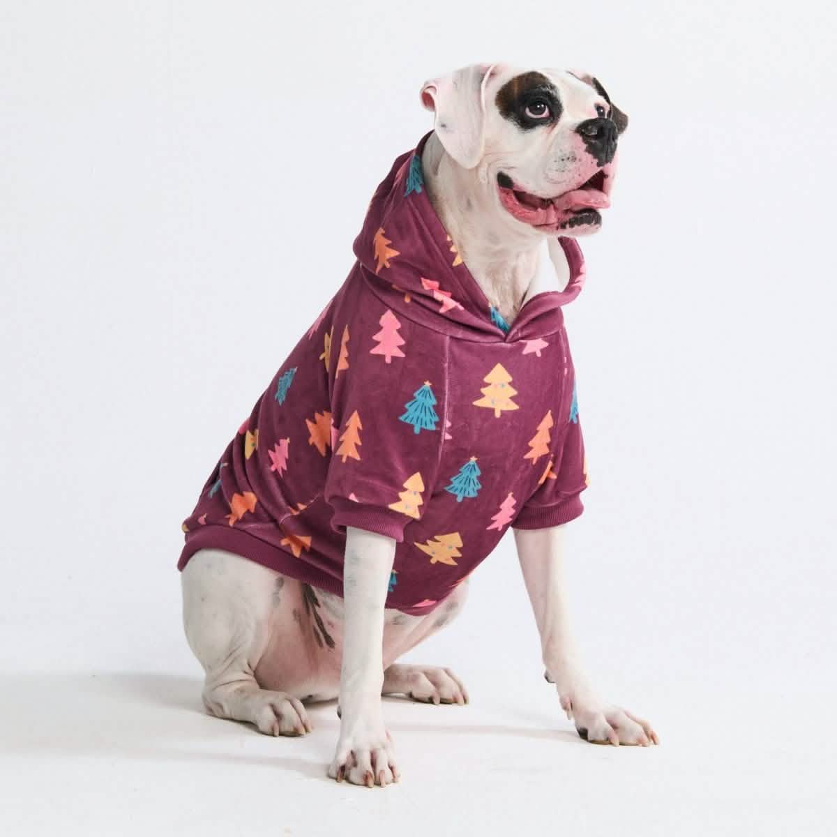 Christmas Dog Hoodie - Candy Trees - XNAUWBI