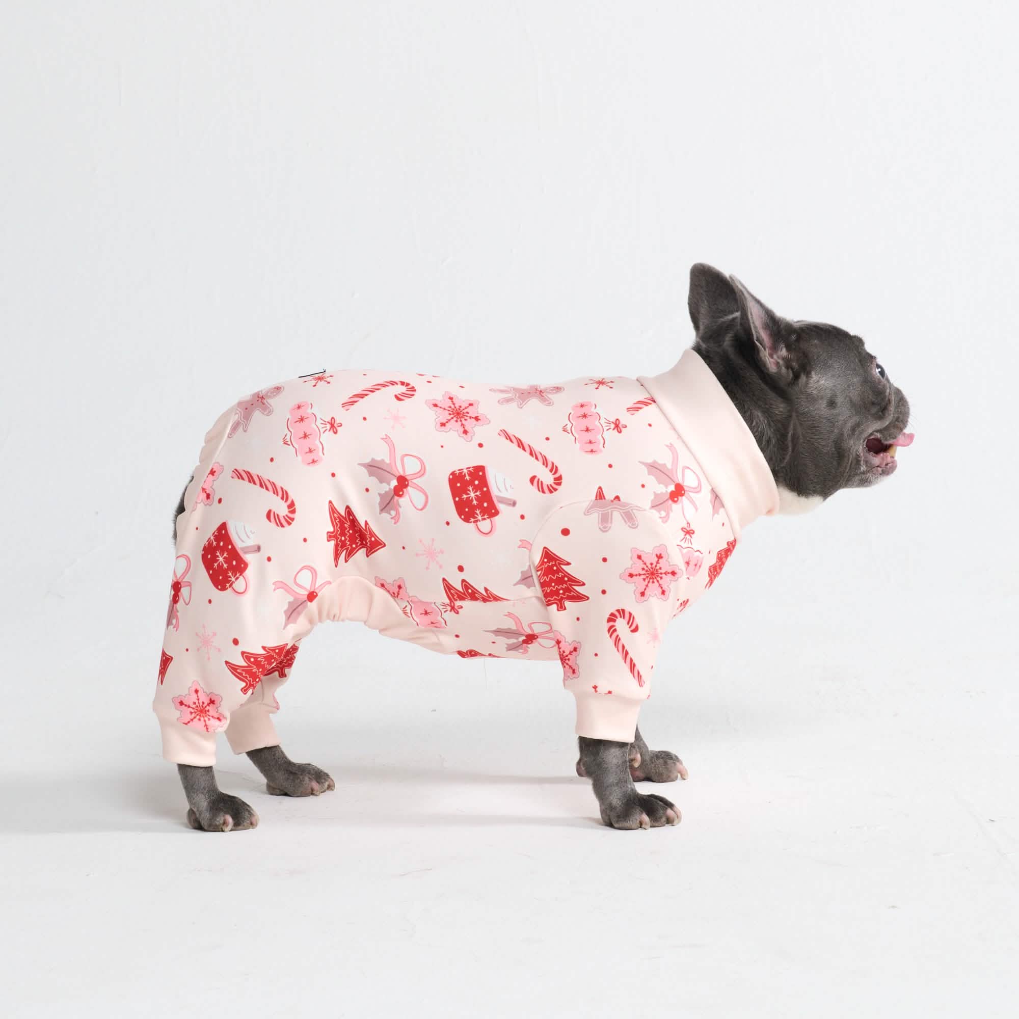 Dog Christmas Pajama - Candy Cane - XNAUWBI