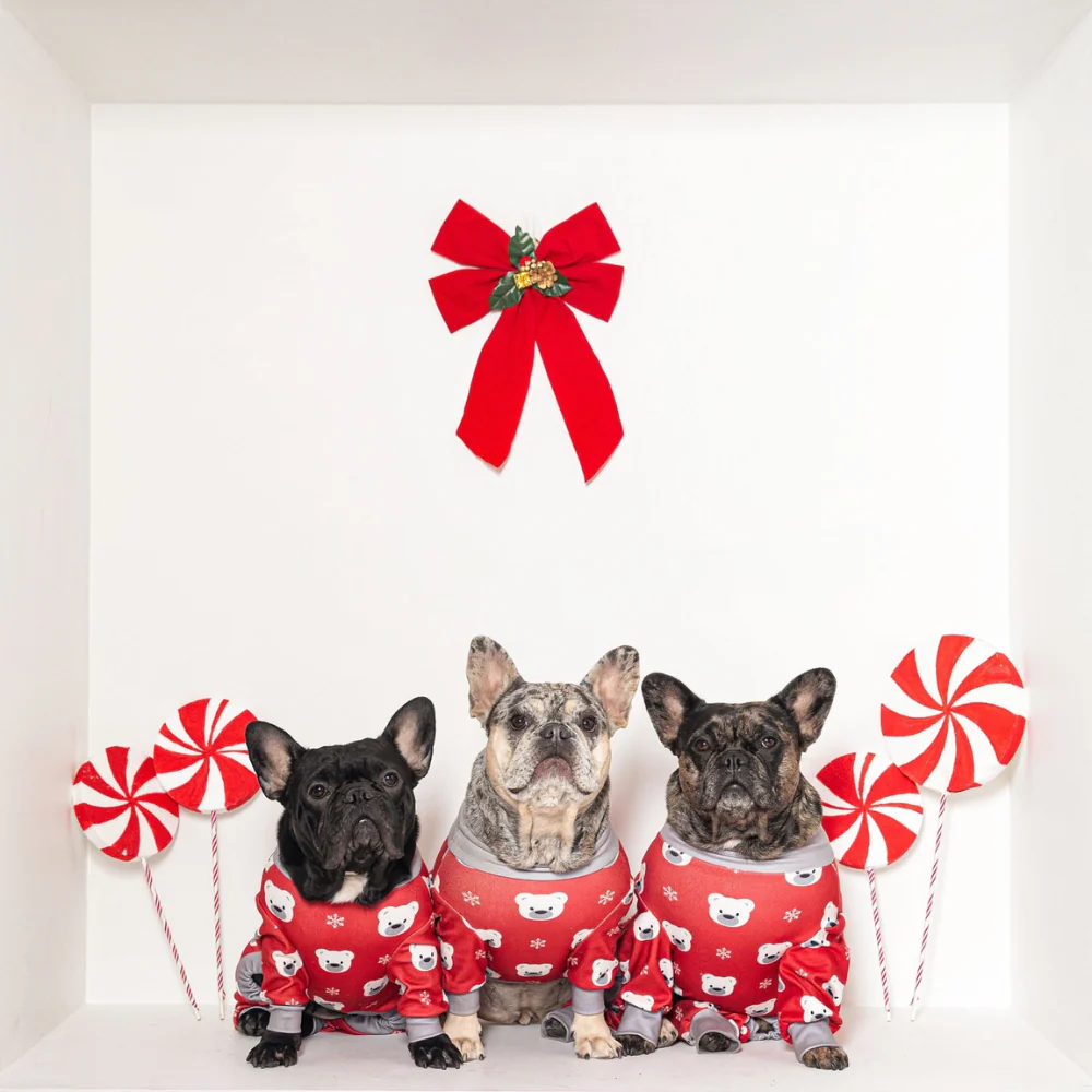 Dog Pajama - Polar Bear - XNAUWBI