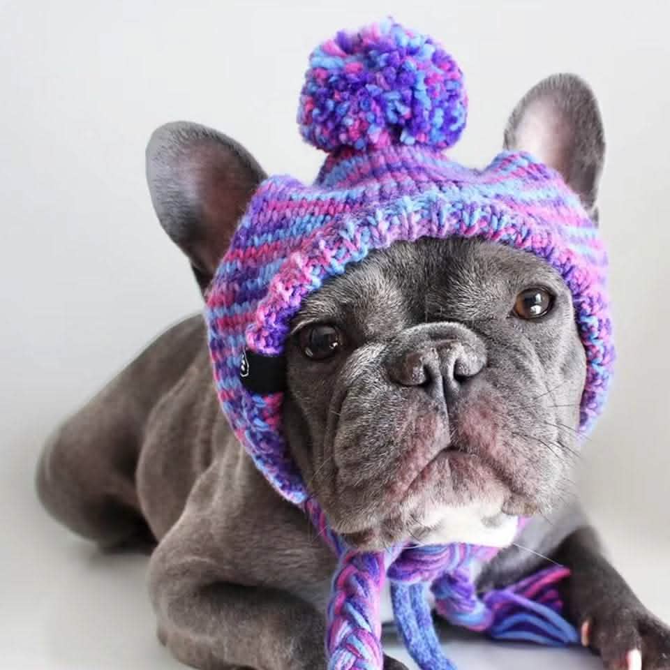 Knit Pom Pom Dog Beanie Hats - XNAUWBI