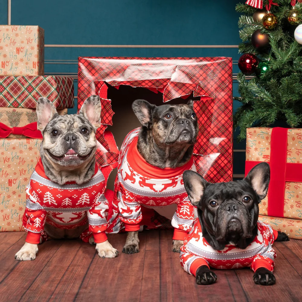 Dog Christmas Pajama - Winter Wonderland - XNAUWBI