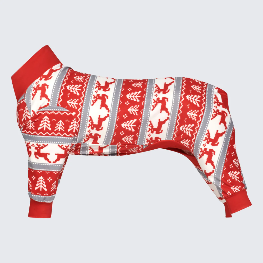 Dog Christmas Pajama - Winter Wonderland - XNAUWBI