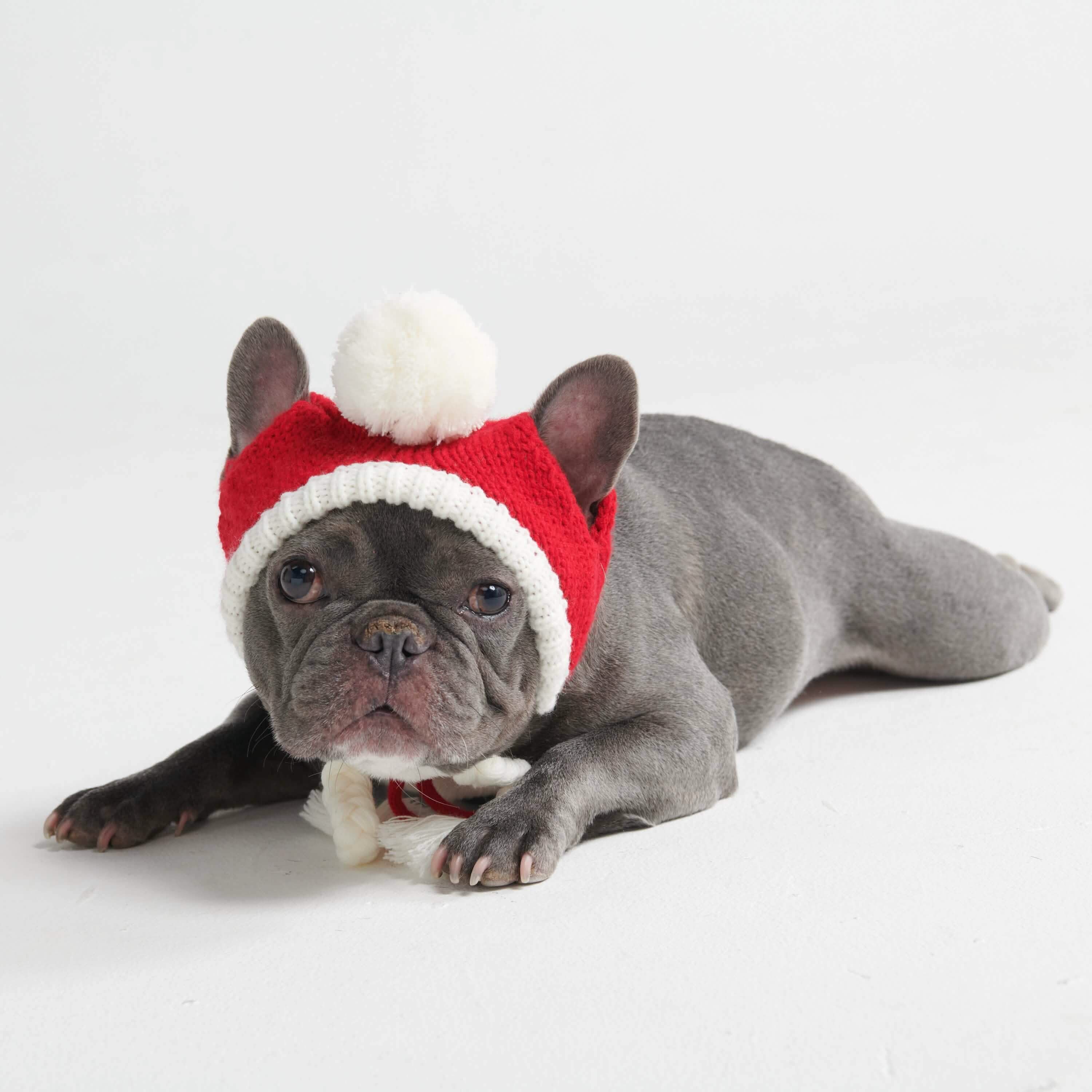 Knit Pom Pom Dog Beanie Hats - XNAUWBI