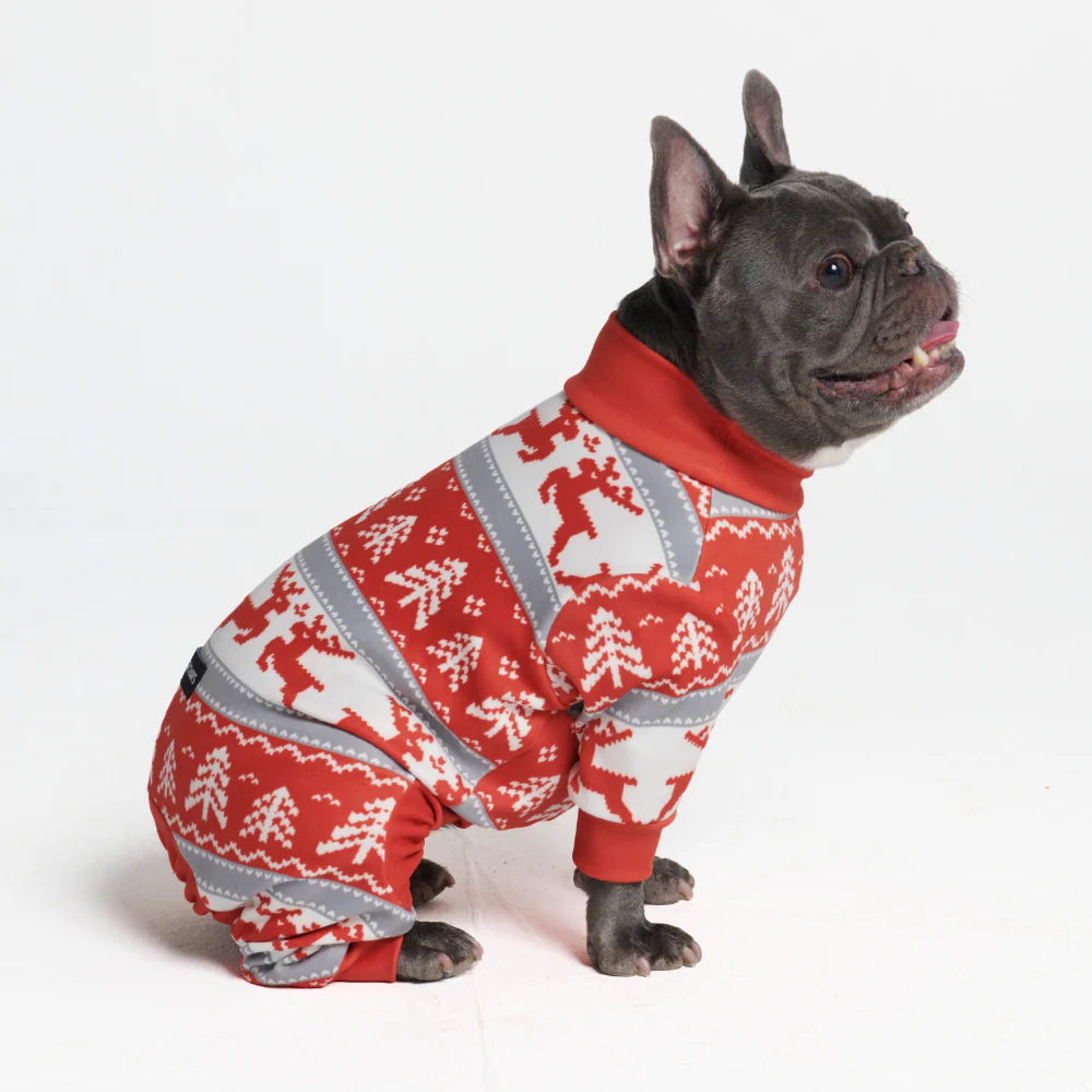 Dog Christmas Pajama - Winter Wonderland - XNAUWBI