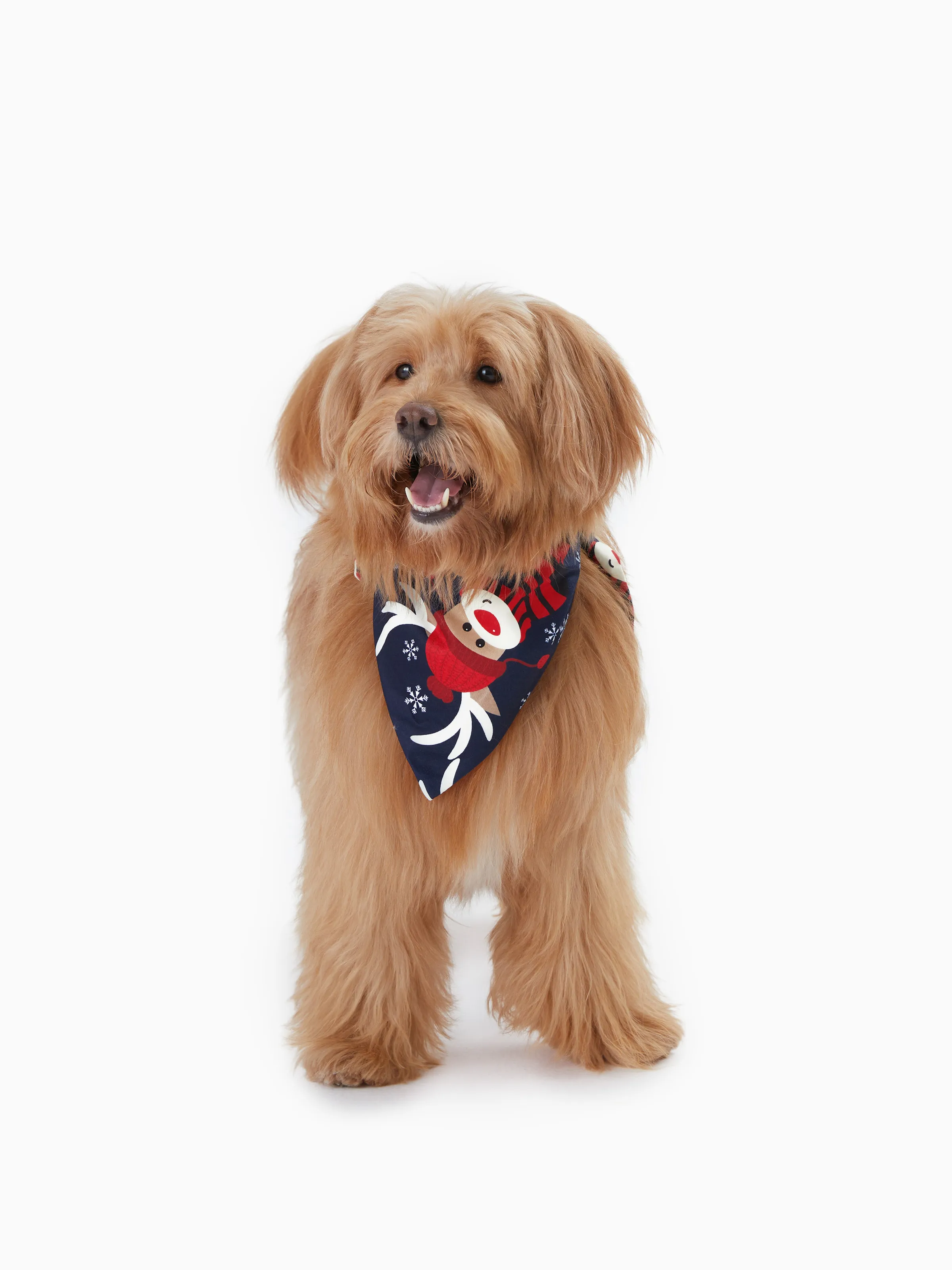 Christmas Family Pajamas Reindeer Pattern Big Graphic Raglan Sleeves Pajamas Sets with Christmas Socks Dark blue/White/Red - XNAUWBI