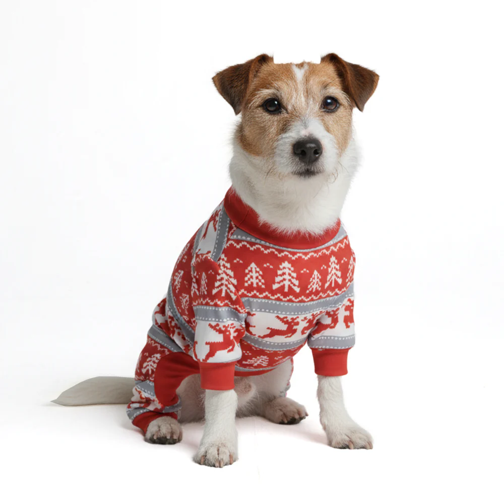 Dog Christmas Pajama - Winter Wonderland - XNAUWBI