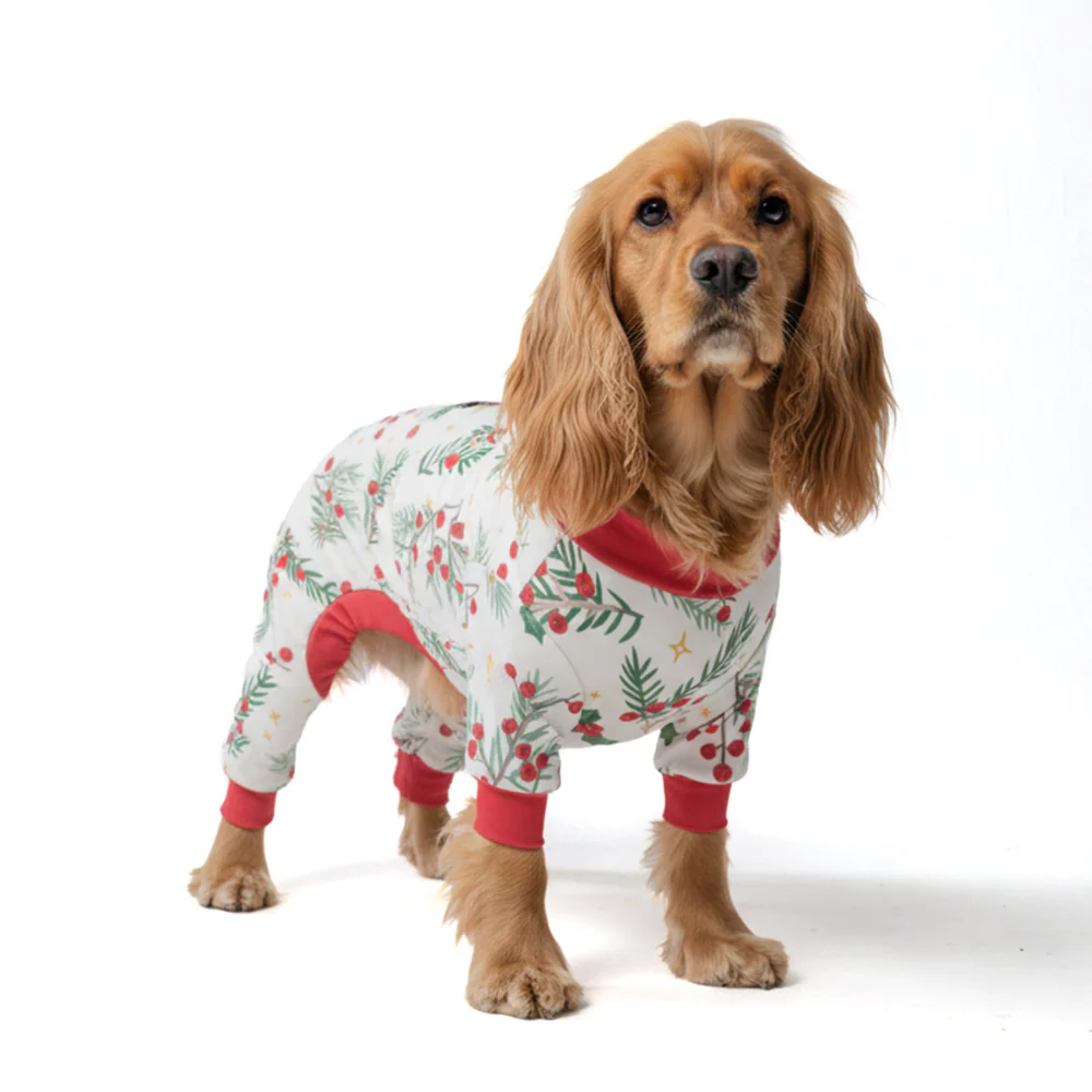 Dog Christmas Pajama - Mistletoe - XNAUWBI
