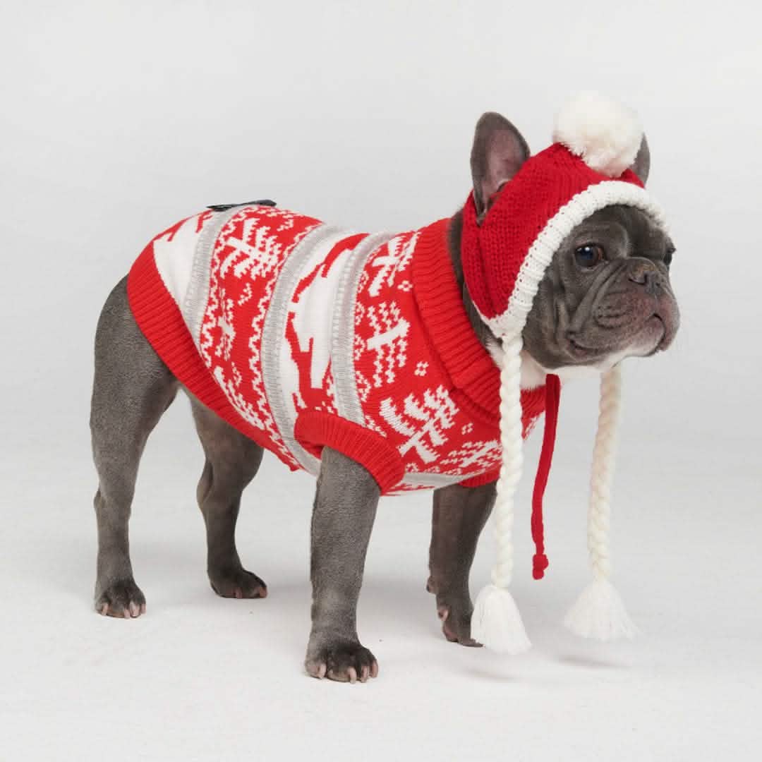 Winter Christmas Wonderland Knit Dog Sweater - XNAUWBI