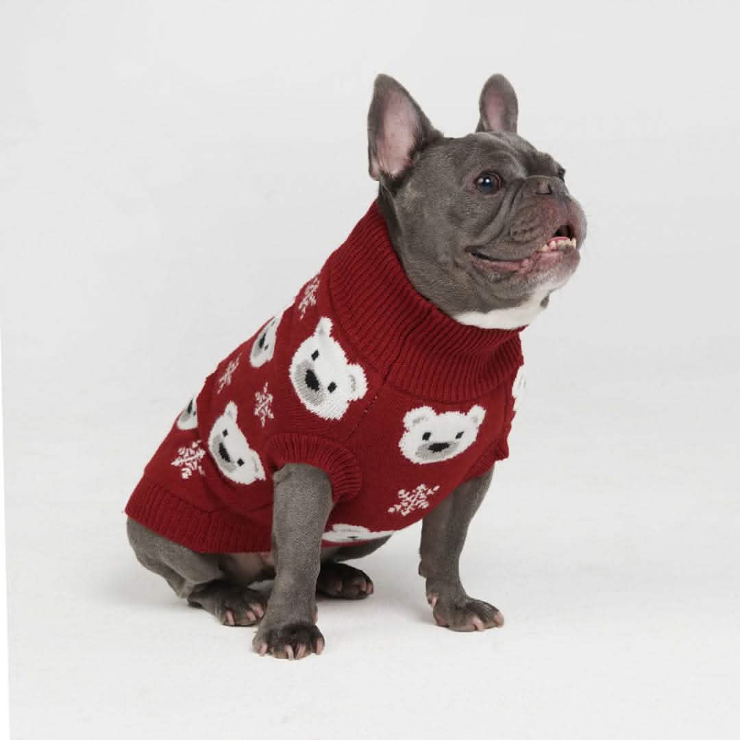 Polar Bear Knit Dog Sweater - XNAUWBI