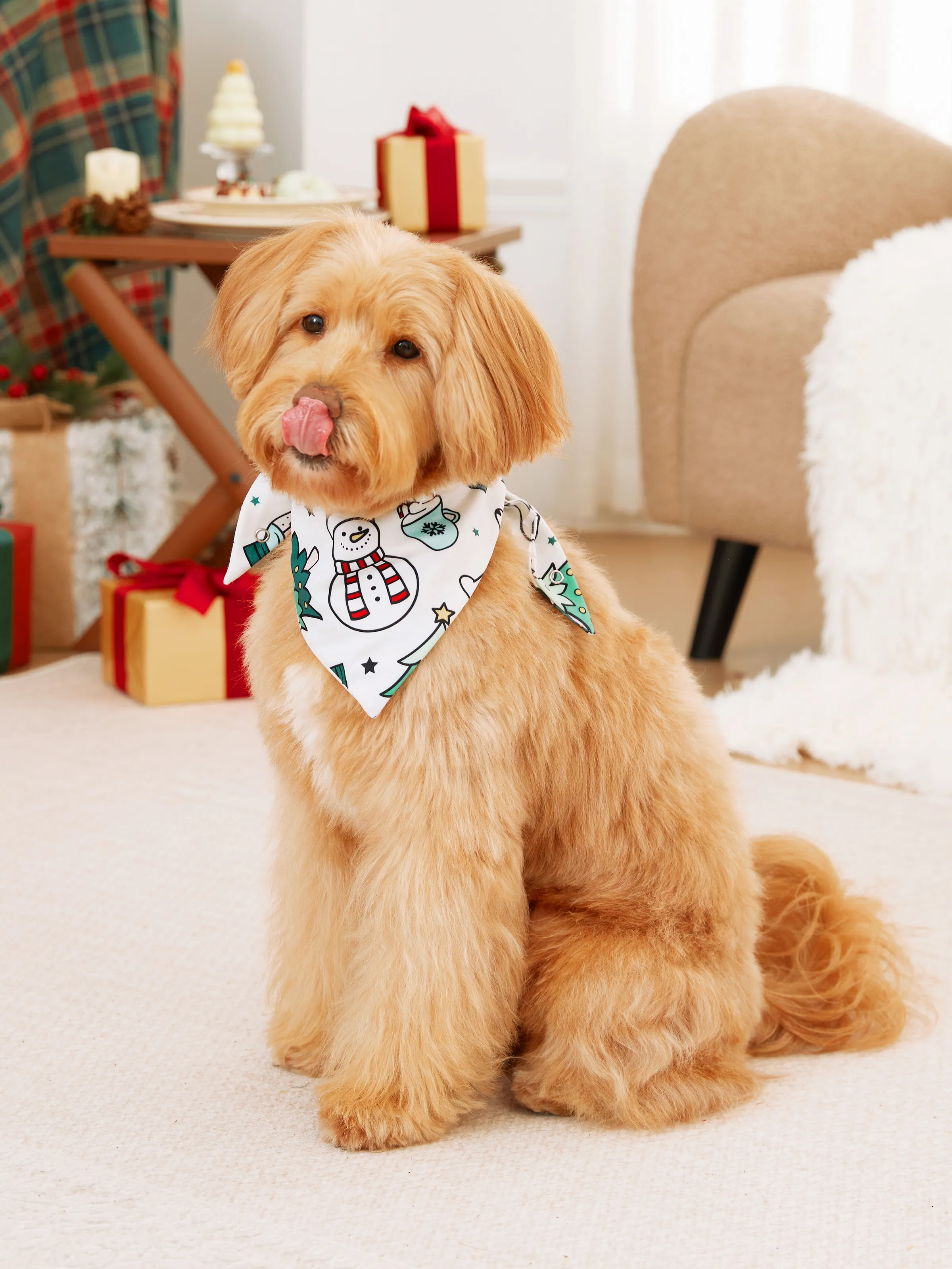 Christmas Family Matching Long Sleeves Very Merry Green Tops Allover Pattern Pants Pajamas Sets with Christmas Socks MediumSpringGreen - XNAUWBI