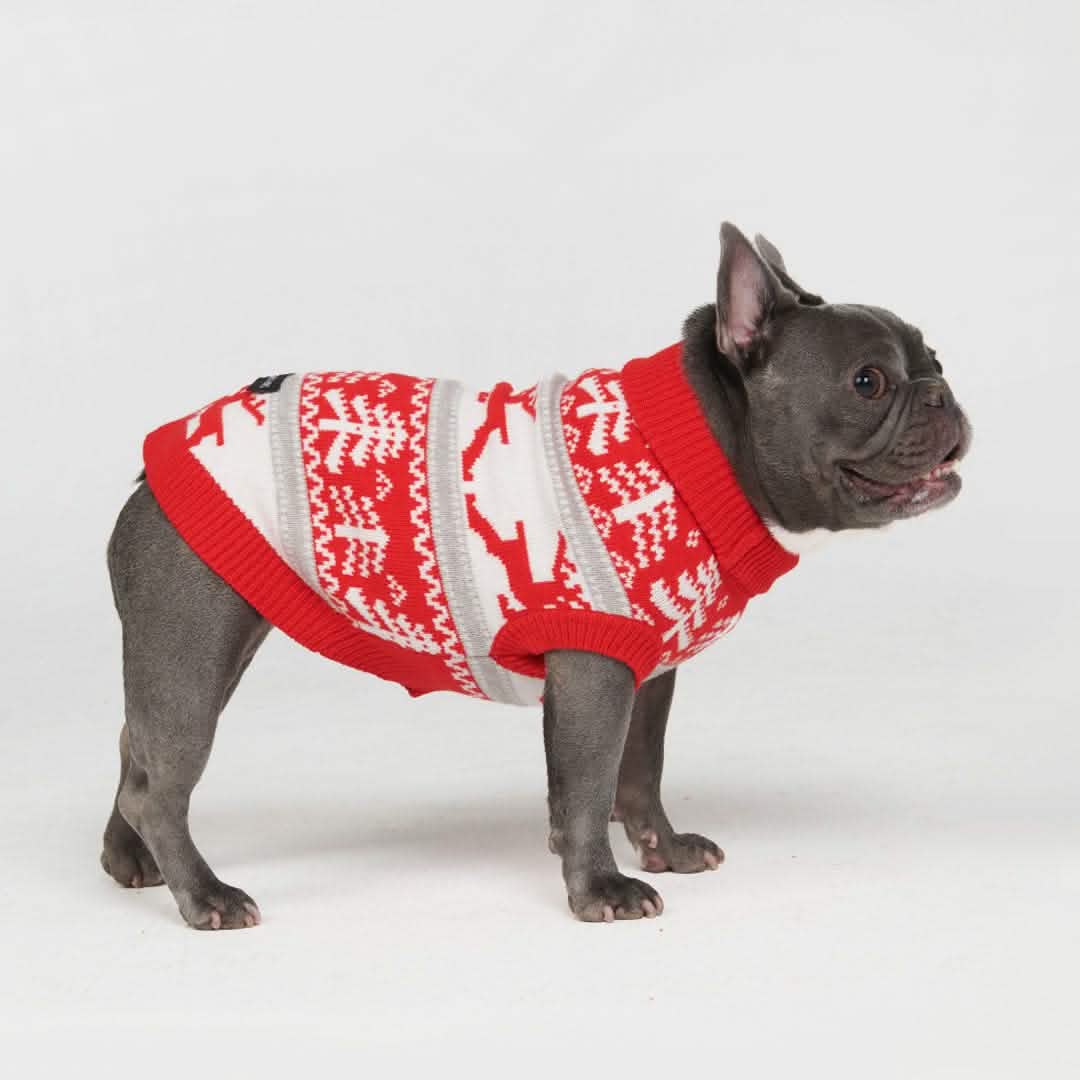 Winter Christmas Wonderland Knit Dog Sweater - XNAUWBI