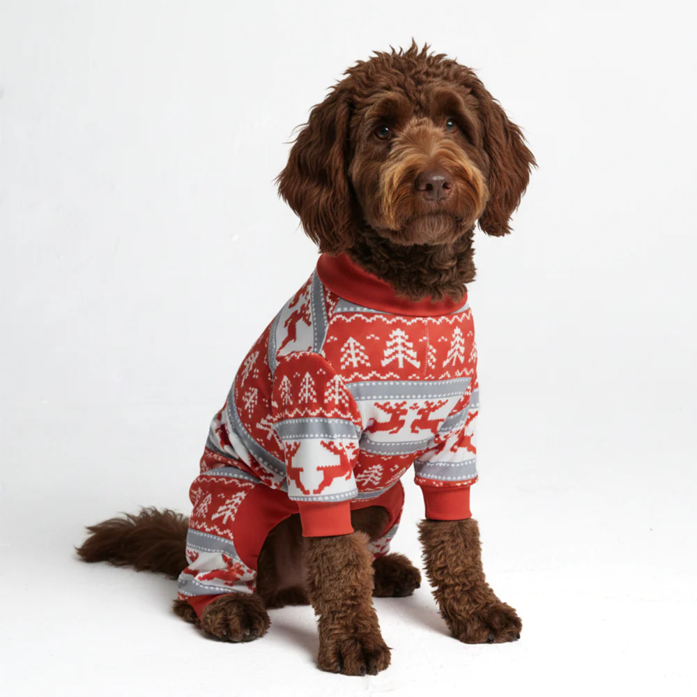 Dog Christmas Pajama - Winter Wonderland - XNAUWBI