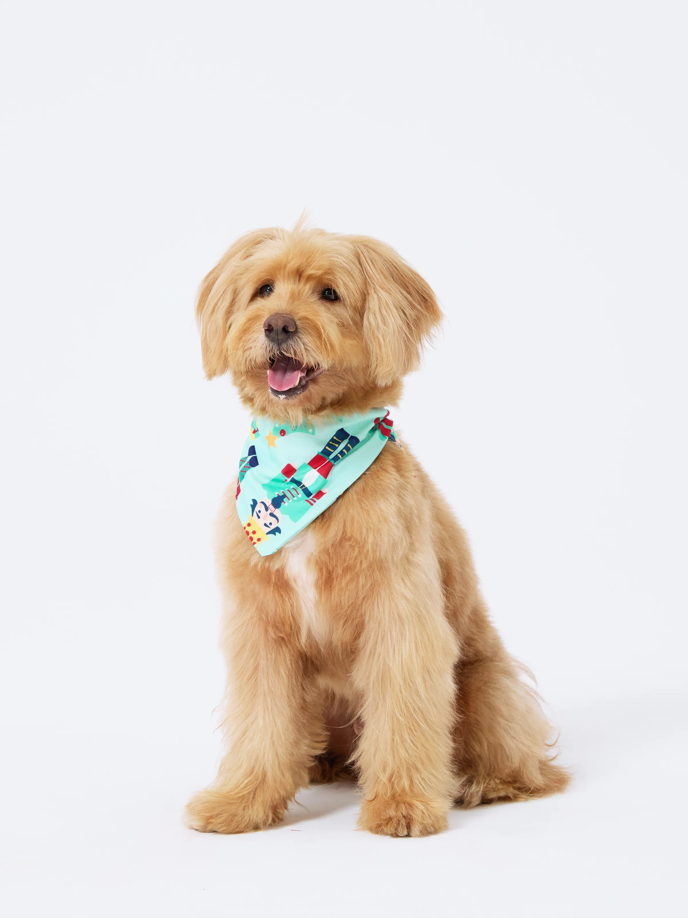 Christmas Matching Family Pajamas Set Soldier and Christmas Tree Print PJS with Christmas Socks Pale Green - XNAUWBI