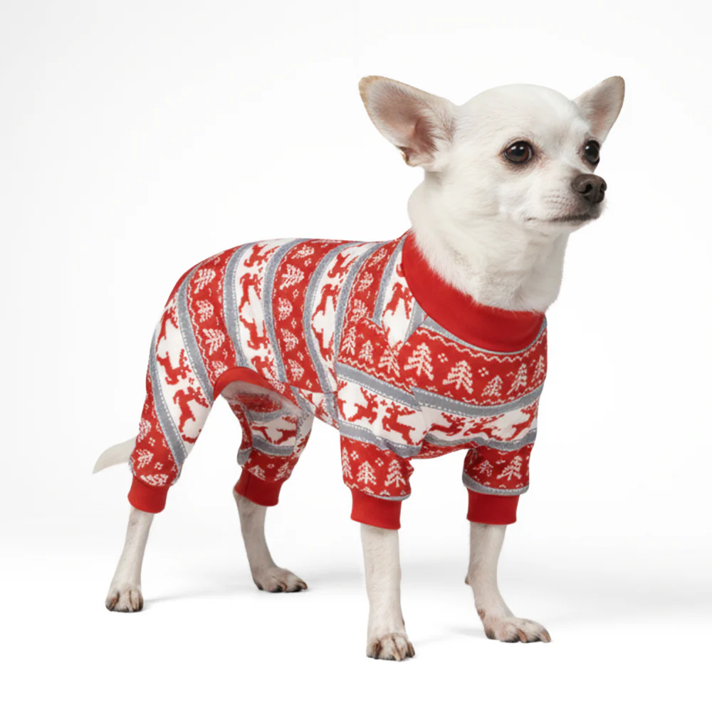 Dog Christmas Pajama - Winter Wonderland - XNAUWBI