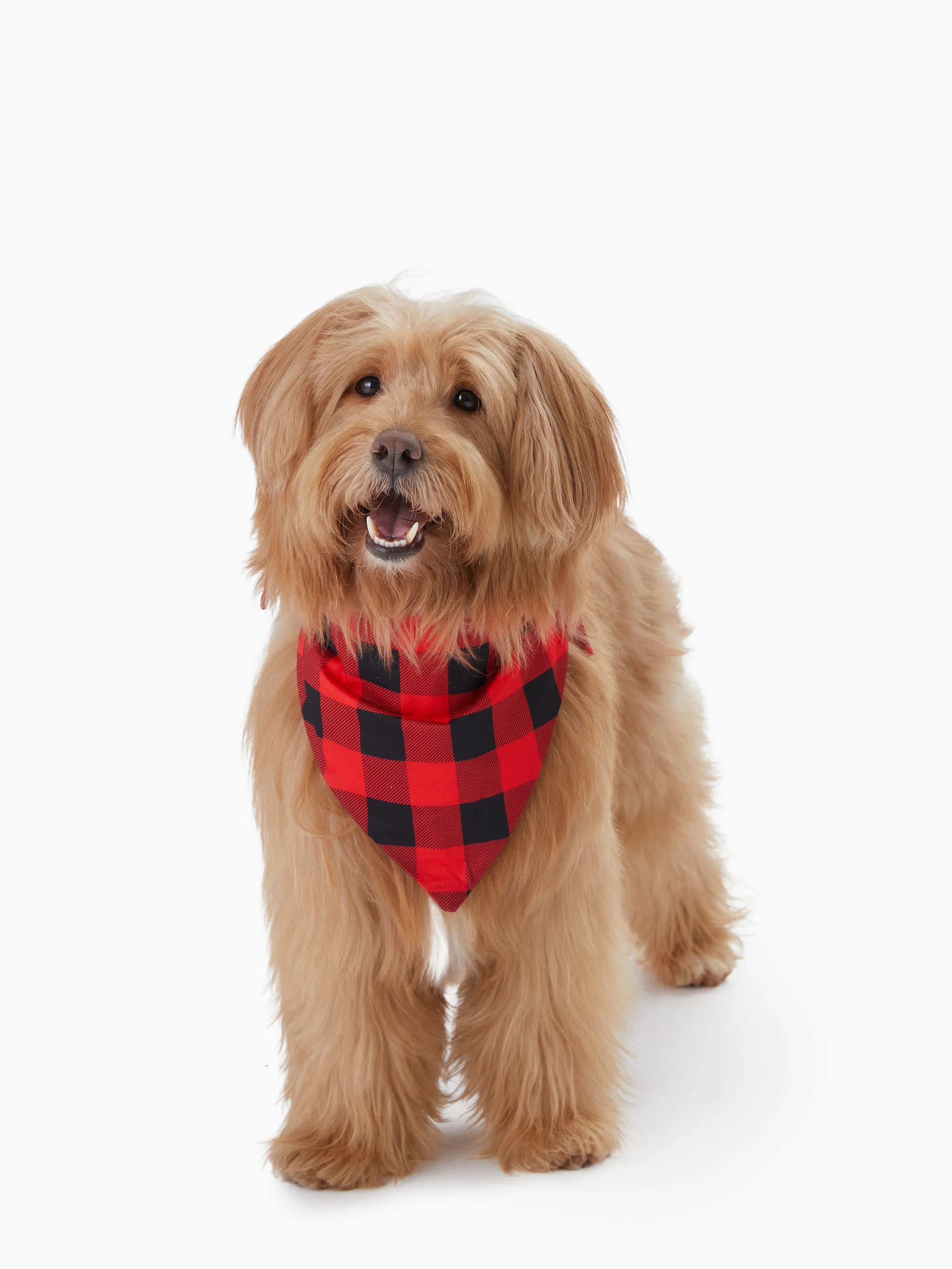 Christmas Family Matching Santa Print Raglan Sleeves Pajamas Sets with Christmas Socks (SGS Certied Safety) Red - XNAUWBI