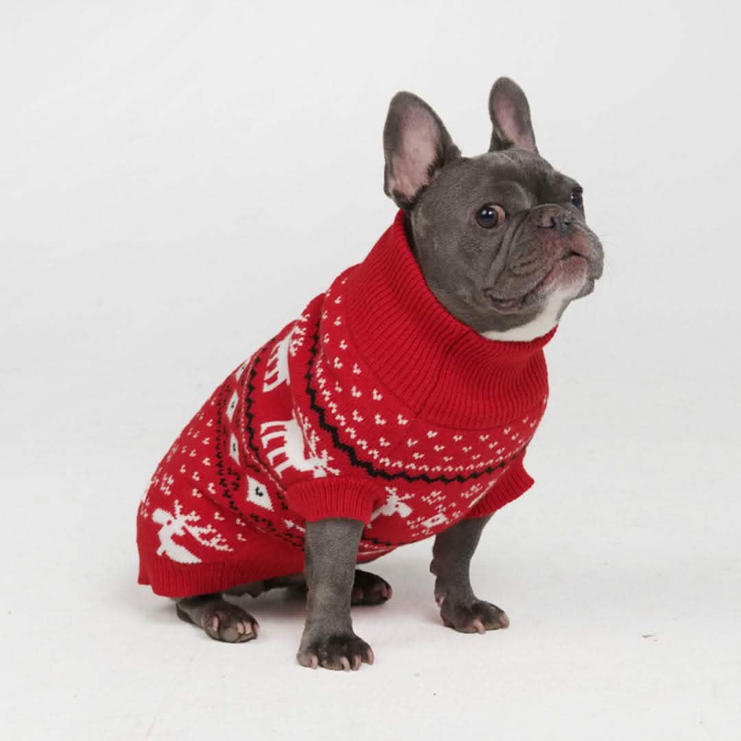 Knit Christmas Dog Sweater - Dasher Red - XNAUWBI