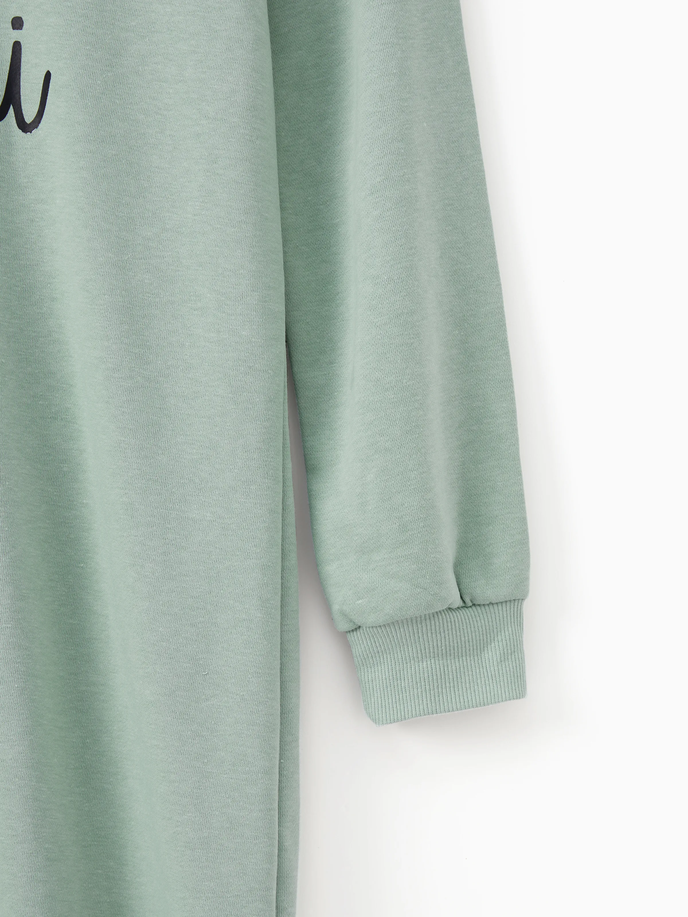 Mommy and Me Letter Print Green Long-sleeve Hoodie Dresses Light Green - XNAUWBI