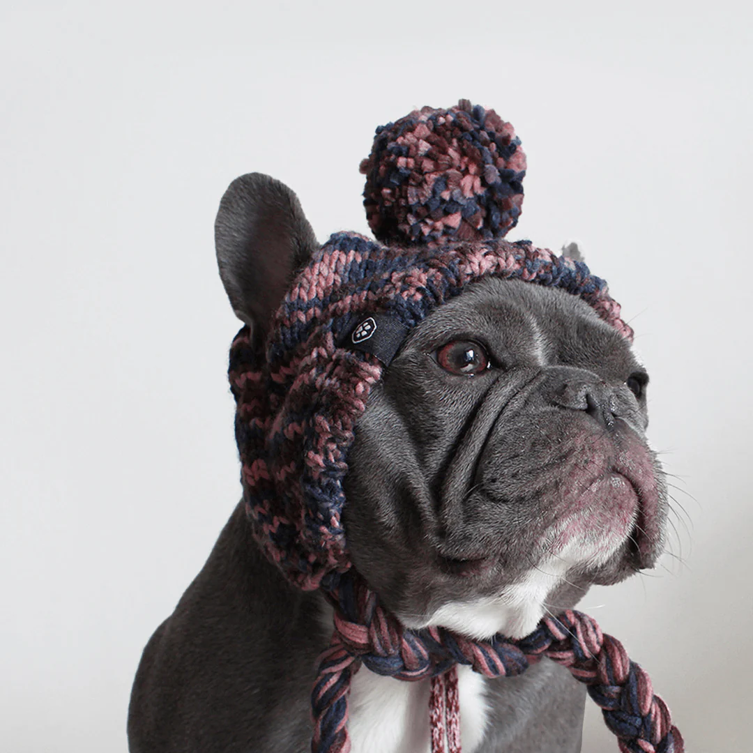Knit Pom Pom Dog Beanie Hats - XNAUWBI