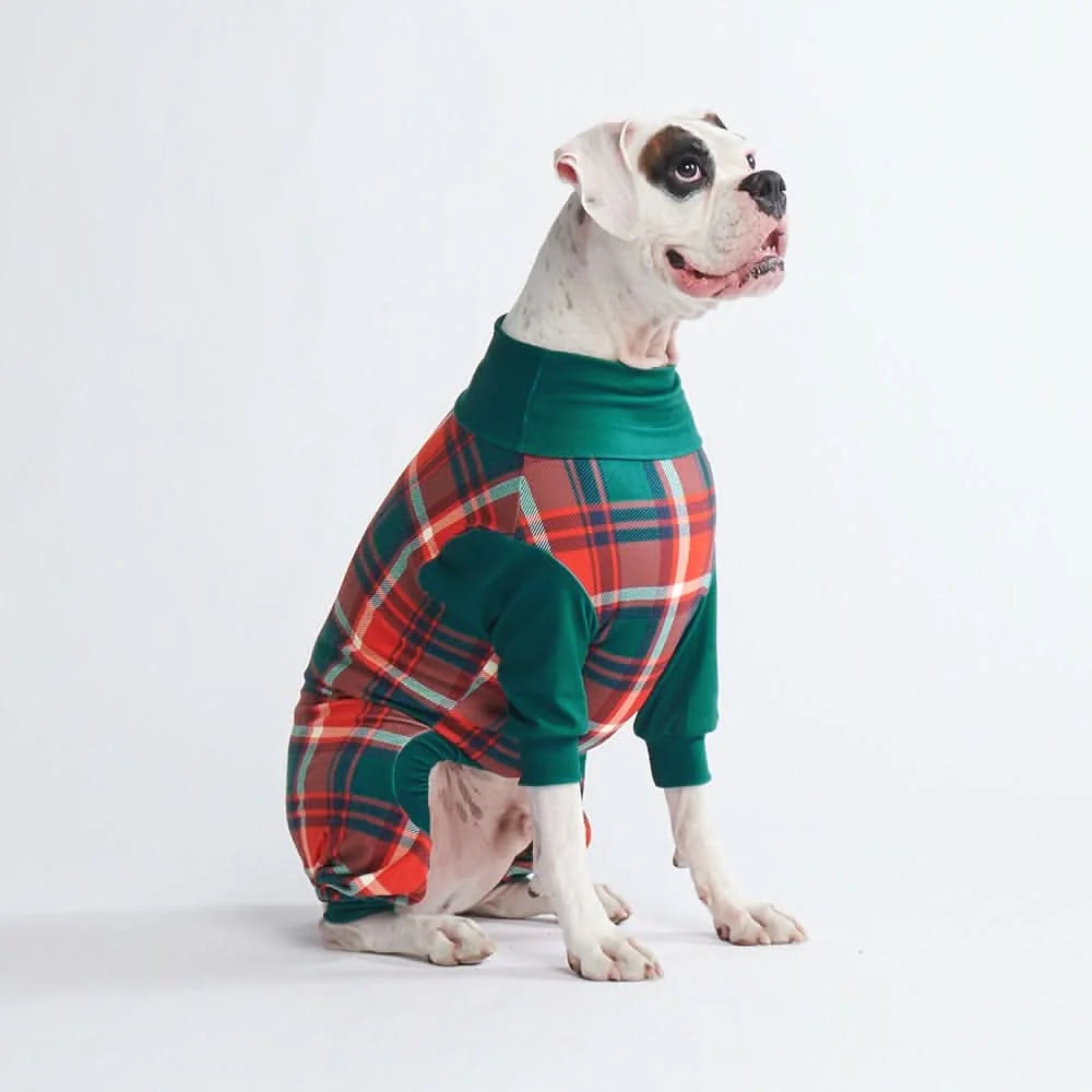 Dog Pajama - Green and Red Plaid - XNAUWBI