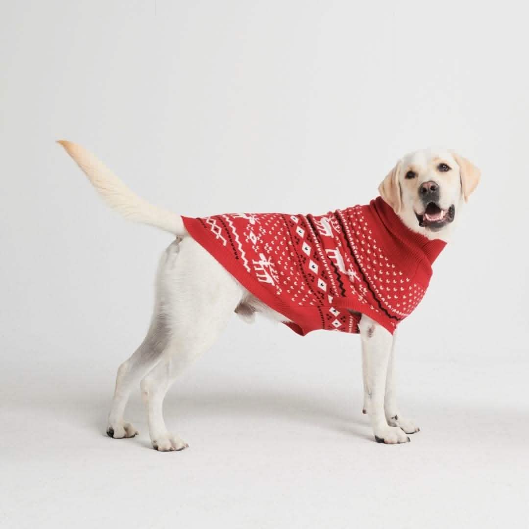 Knit Christmas Dog Sweater - Dasher Red - XNAUWBI