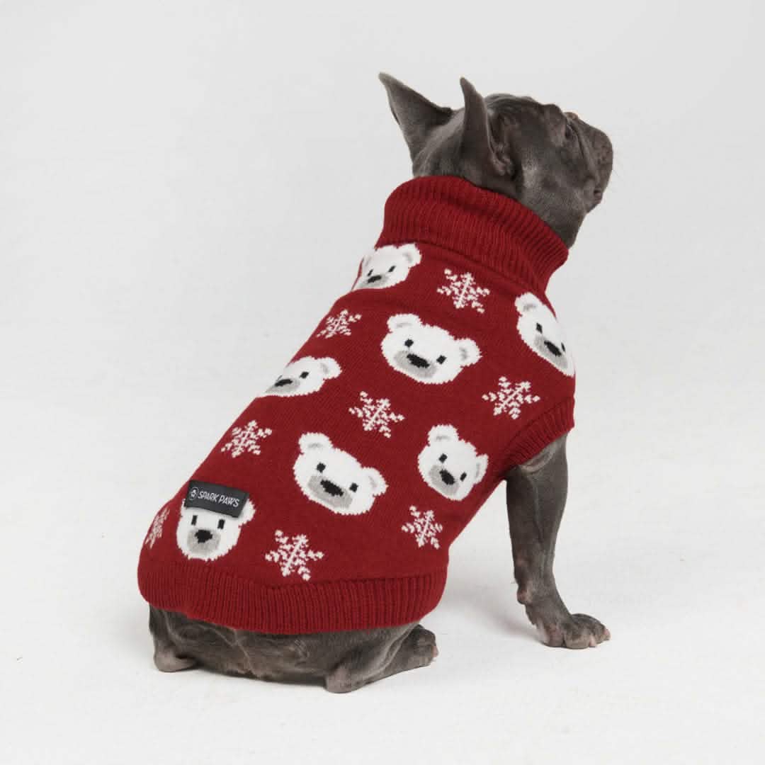Polar Bear Knit Dog Sweater - XNAUWBI