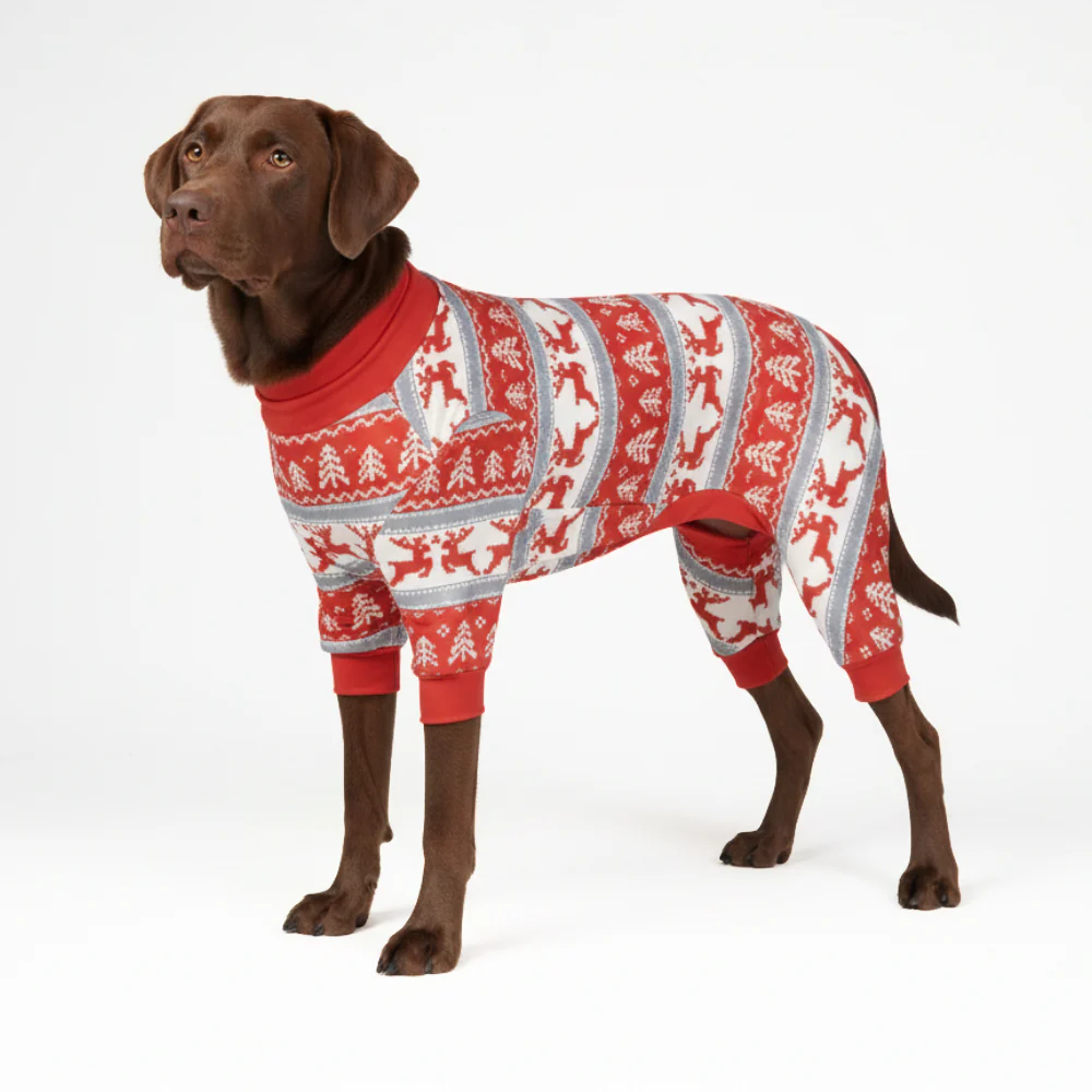 Dog Christmas Pajama - Winter Wonderland - XNAUWBI