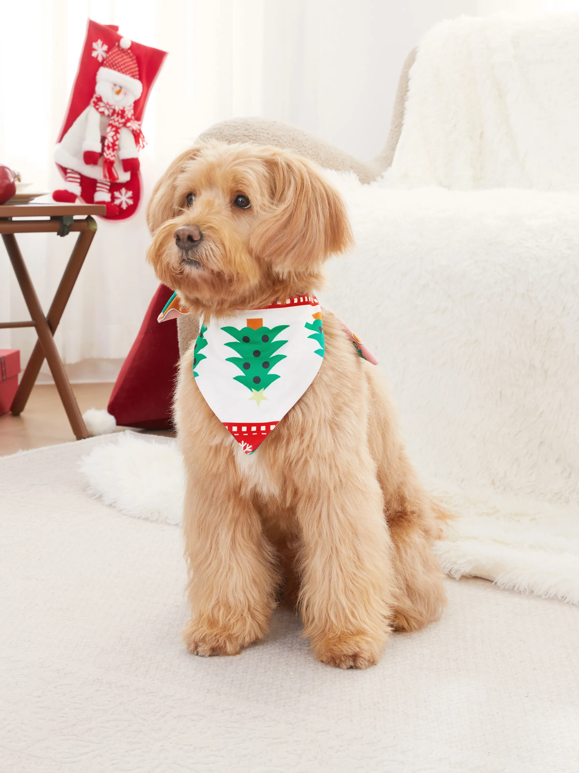 Onesies Pajamas Matching Christmas Outfits Allover Pattern Zipper Front Holly Jolly Print with Christmas Socks Back MultiColour - XNAUWBI