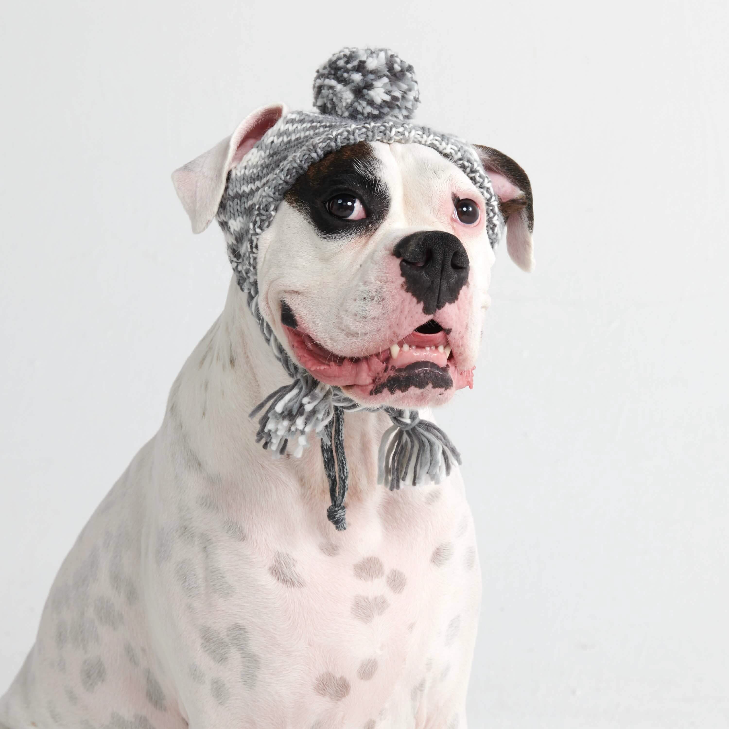 Knit Pom Pom Dog Beanie Hats - XNAUWBI