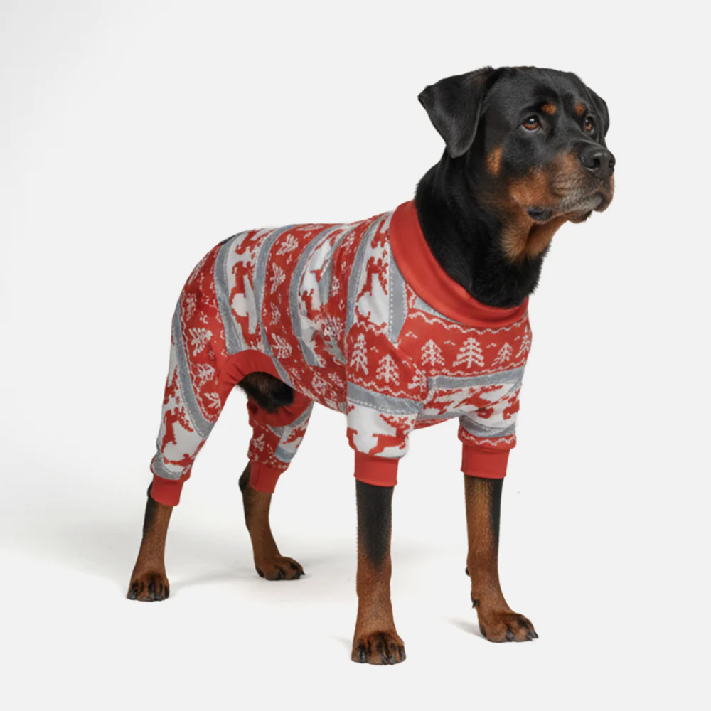 Dog Christmas Pajama - Winter Wonderland - XNAUWBI