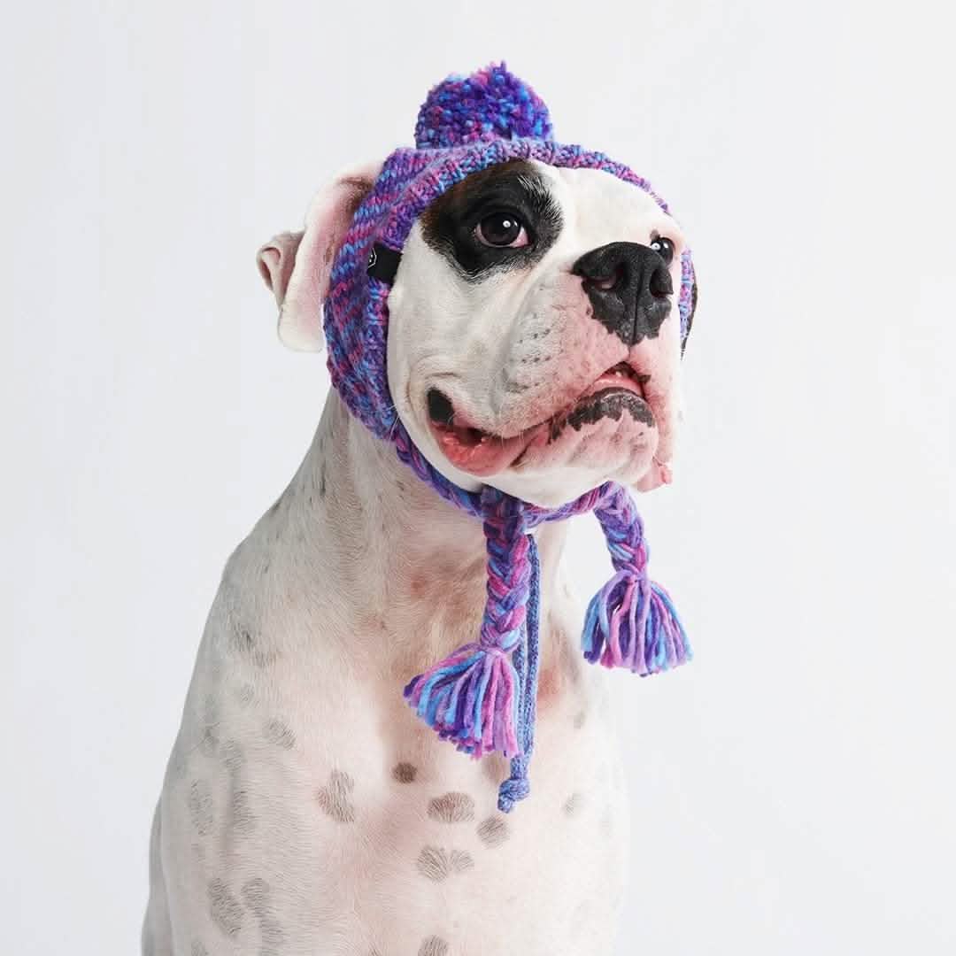 Knit Pom Pom Dog Beanie Hats - XNAUWBI