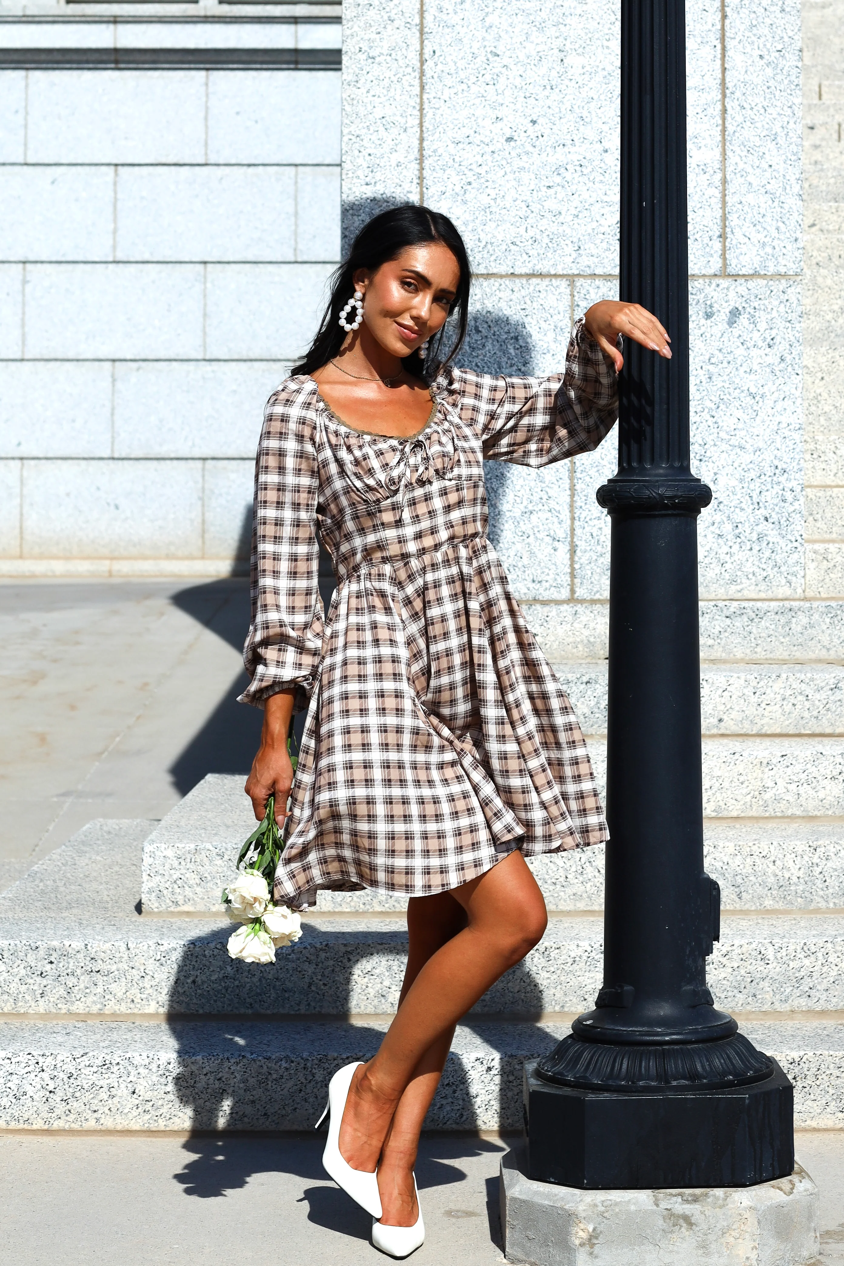 The Lionne Brown/Taupe/Beige Plaid Dresses - XNAUWBI